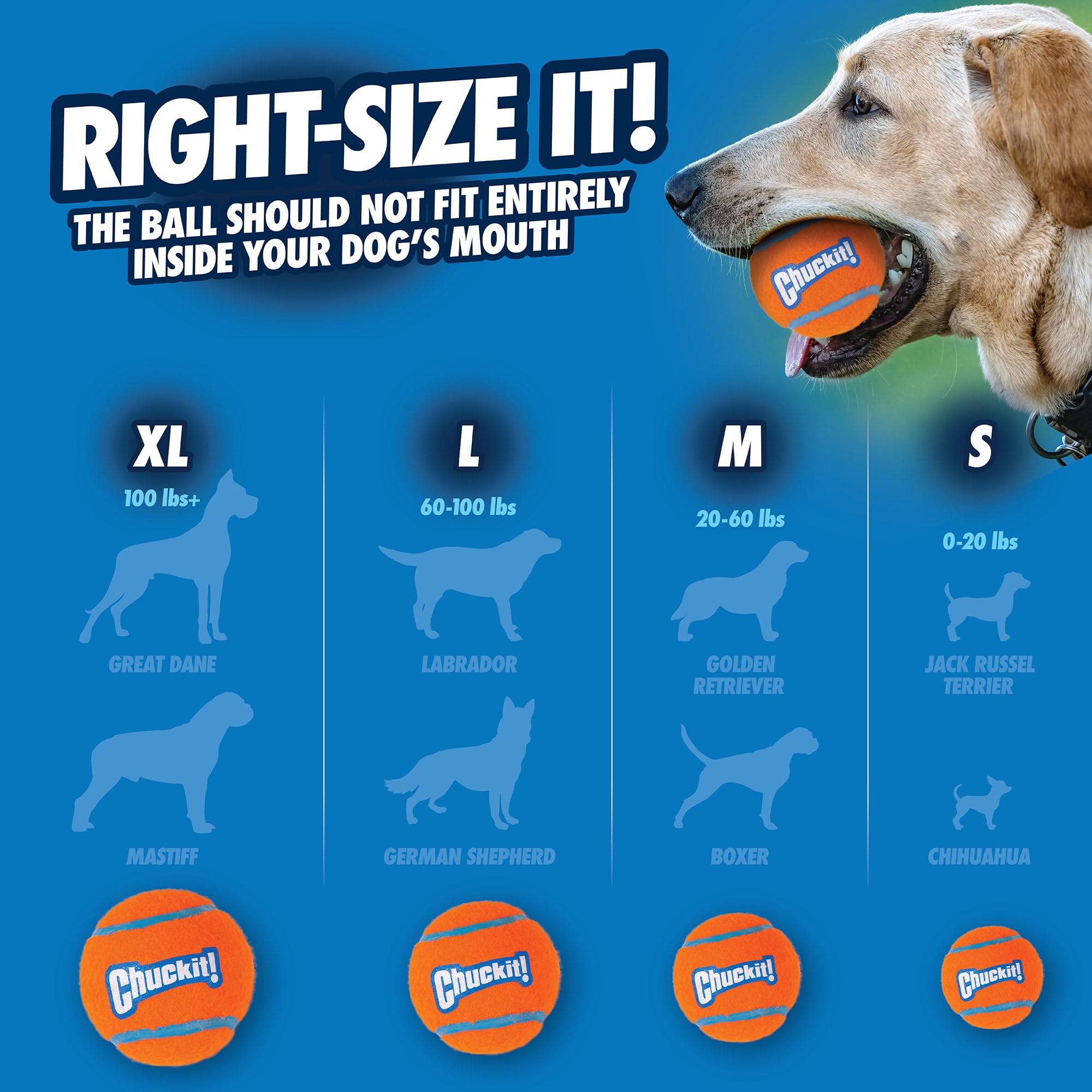 Chuckit! Dog Tennis Ball Toy, Small 2" Diameter for Dogs 0-20 lbs, Orange, Pack of 2, Model 71021