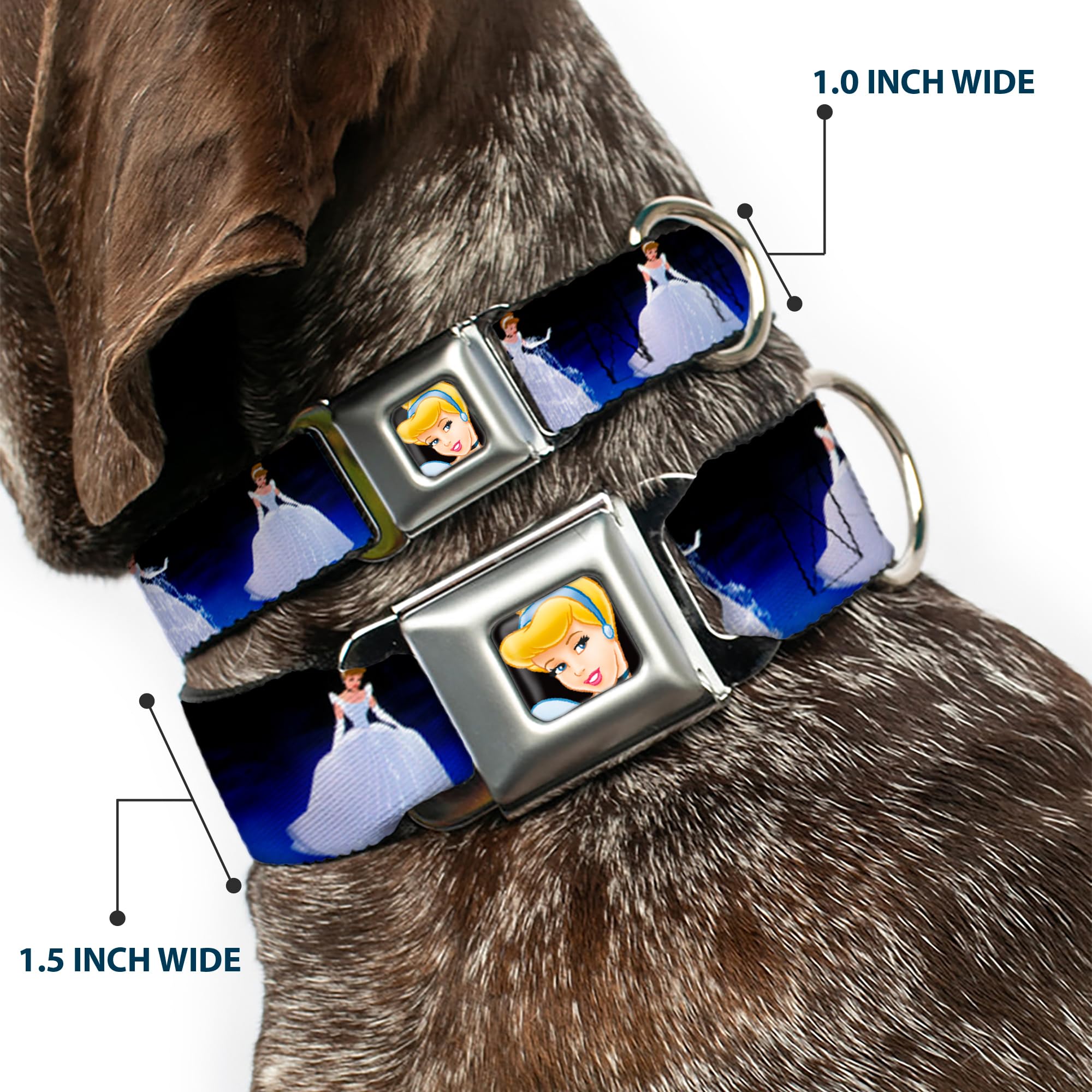Disney Pet Collar, Dog Collar Metal Seatbelt Buckle, Cinderella Transformation Blue Fade, 15 To 24 Inches 1.0 Inch Wide