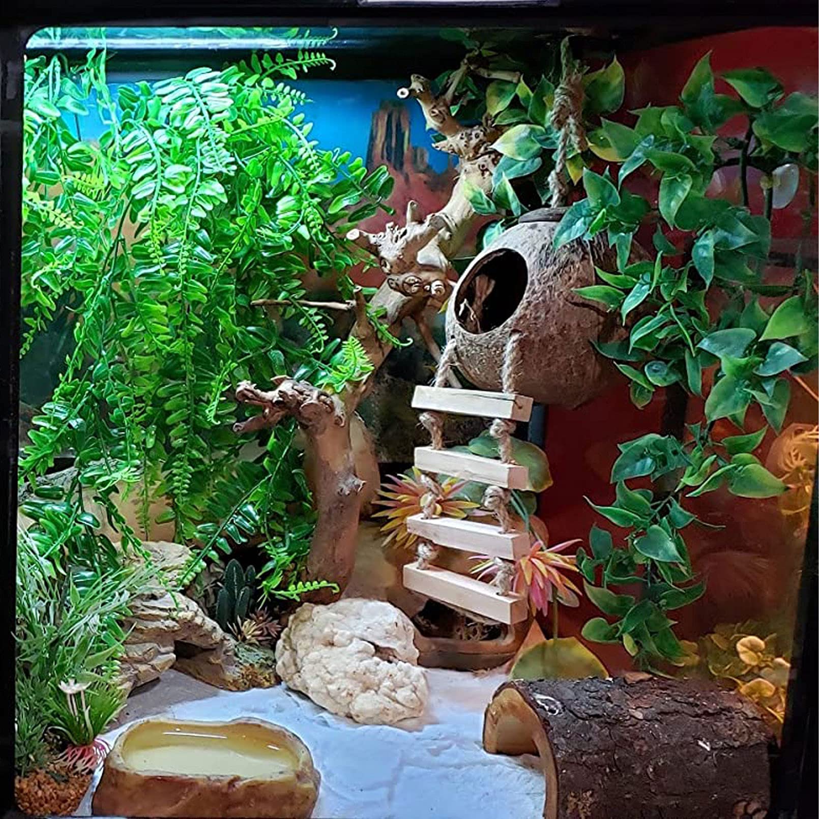 Tfwadmx Crested Gecko Coconut Hide,Leopard Gecko Coco Hut Hideout Cave With Ladder,Reptile Hanging Coconut Hut & Climbing Vine,Ideal Habitat Accessory For Hermit Crab, Snake,Lizard