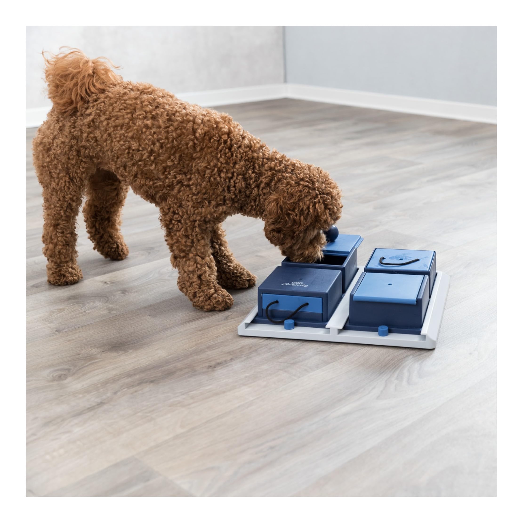 TRIXIE Poker Box 1 Strategy Game - Intermediate Dog Puzzle Toy, Level 2, Rubber Material, Interactive Enrichment