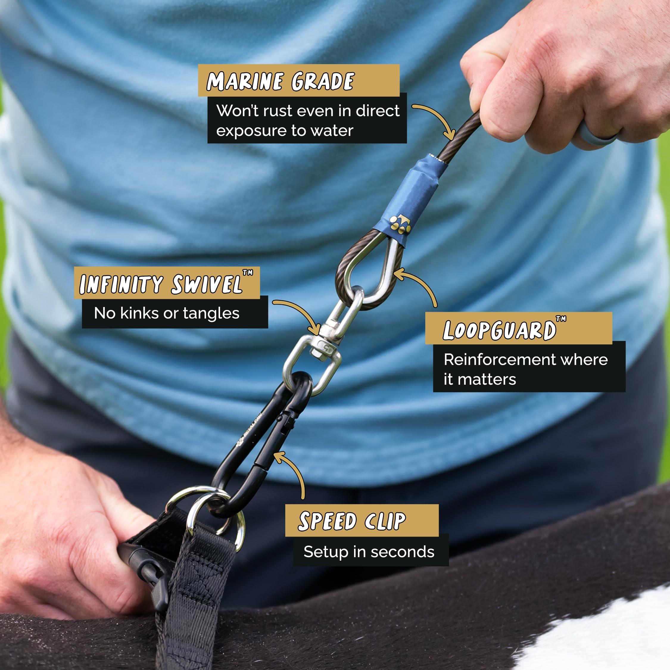 Royal Paw Dog Tie Out Cable And Stake 10Ft - For Large Dogs Up To 300 Lbs - Heavy Duty Tether And Dog Stake For Yard, Beach & Ca