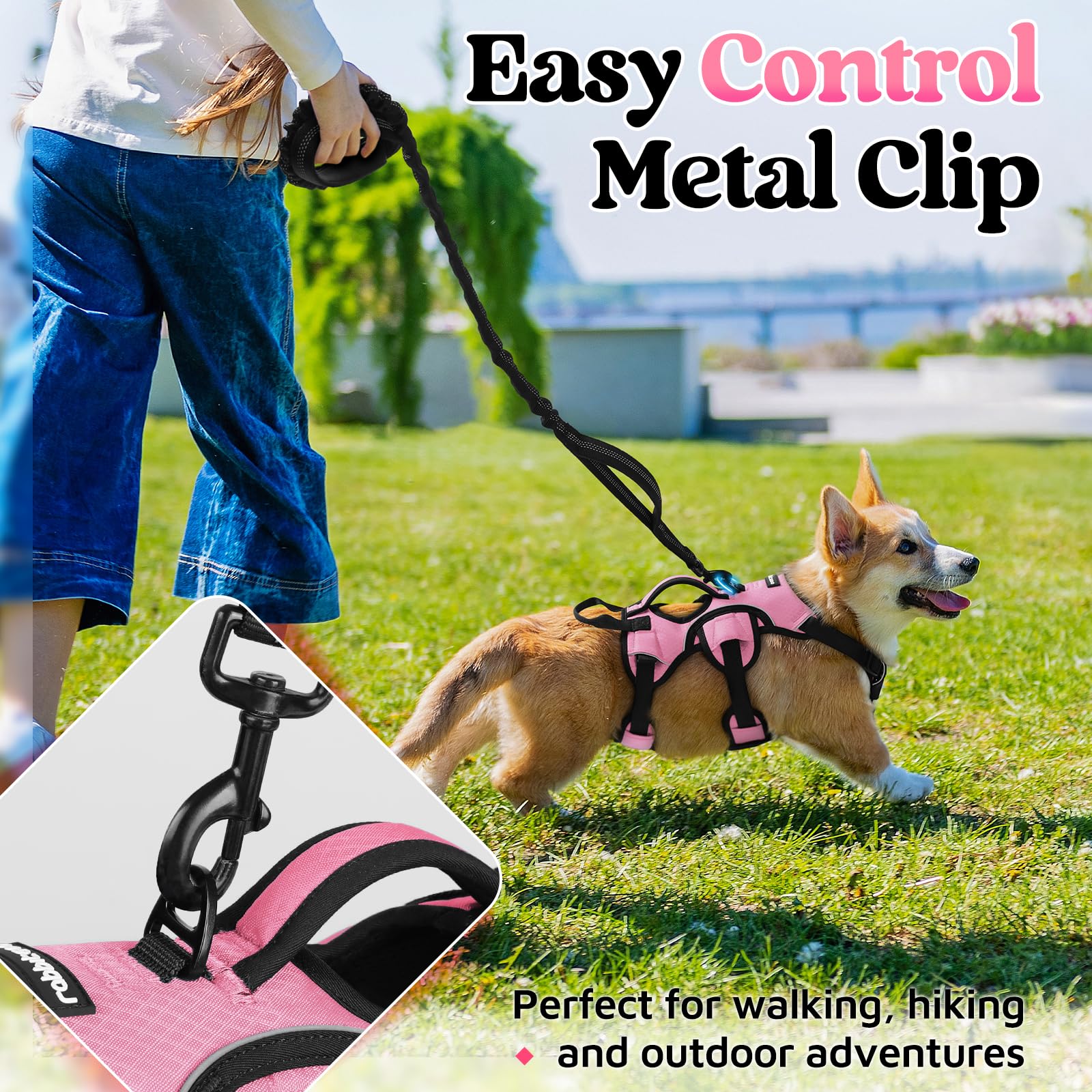 Rabbitgoo Escape Proof Dog Harness Small Sized Dog, Soft Padded Full Body Pet Harness, Reflective Adjustable Vest With Lift Hand