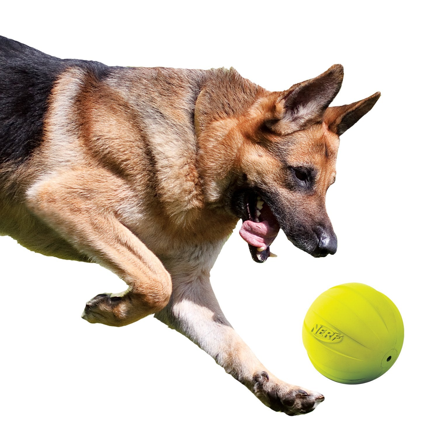 Nerf Dog Rubber Ball Dog Toy With Squeaker, Lightweight, Durable And Water Resistant, 4 Inch Diameter For Medium/Large Breeds, Single Unit, Green