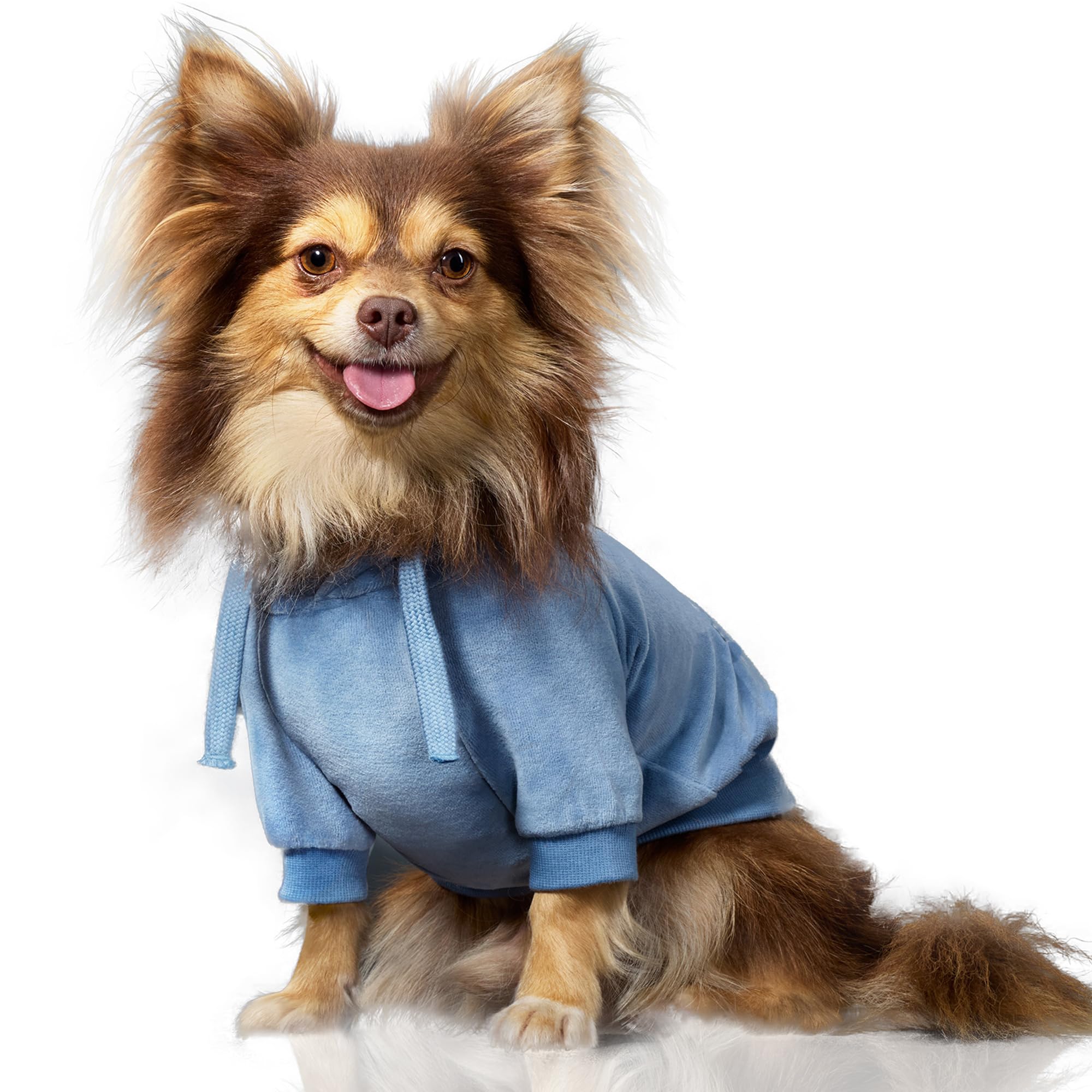 Pet Passion Organic Cotton Velour Dog Hoodie Pet Coat For Small, Medium And Large Dogs, Faded Denim, X-Small