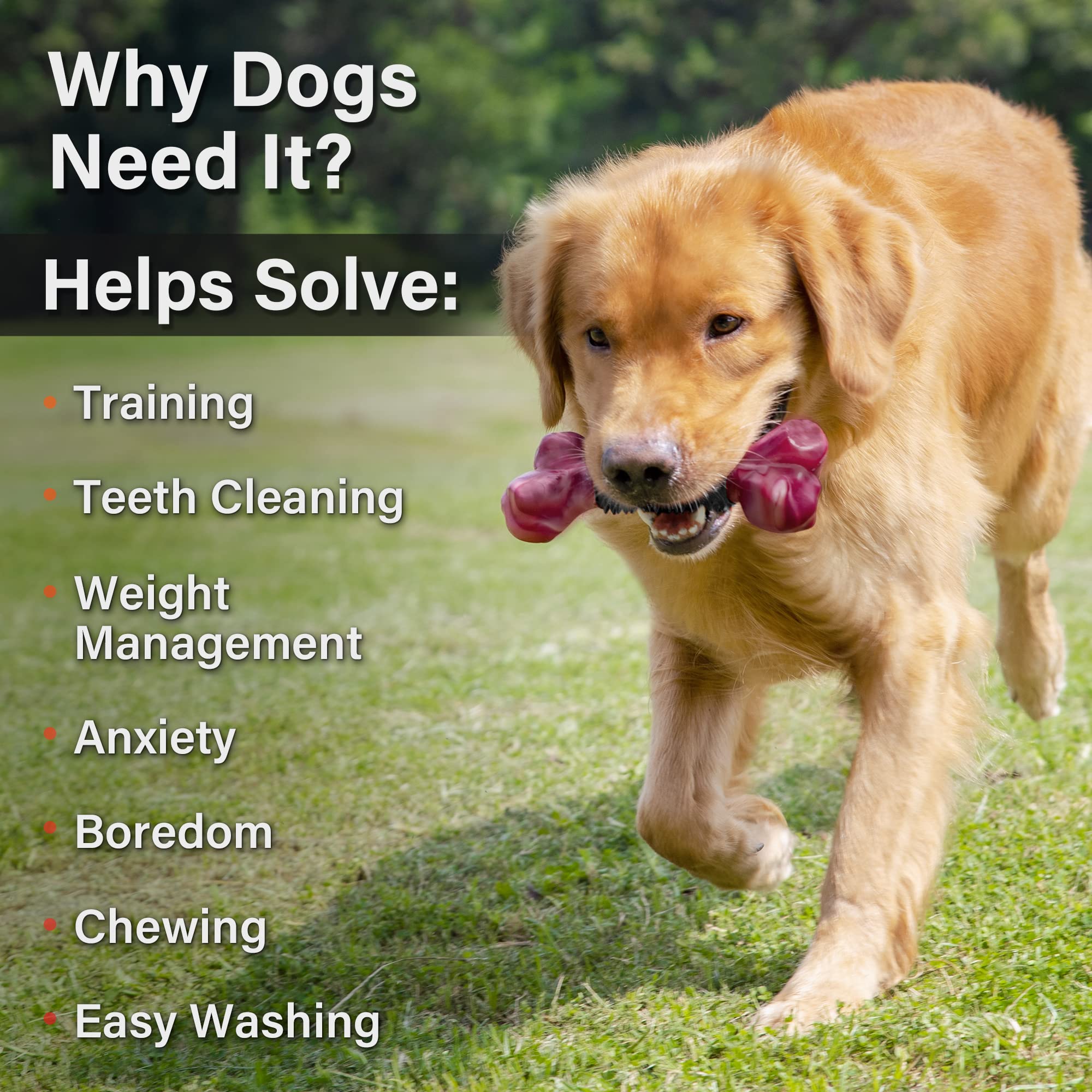 Apasiri Tough Dog Toys For Aggressive Chewers Large Breed, 2-Pack Dogs Chew Toys For Large Medium Dogs, Nylon And Rubber Dog Bon