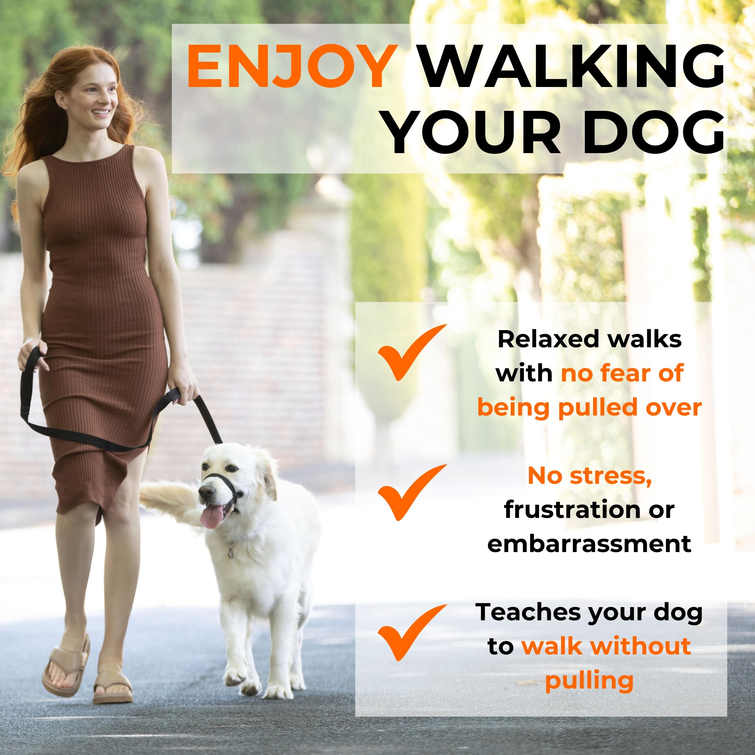 Canny Collar No-Pull Dog Collar - The Kind, Gentle Head Collar For Dogs| Dog Training Tool For Easier Dog Walking | Black - Size 1