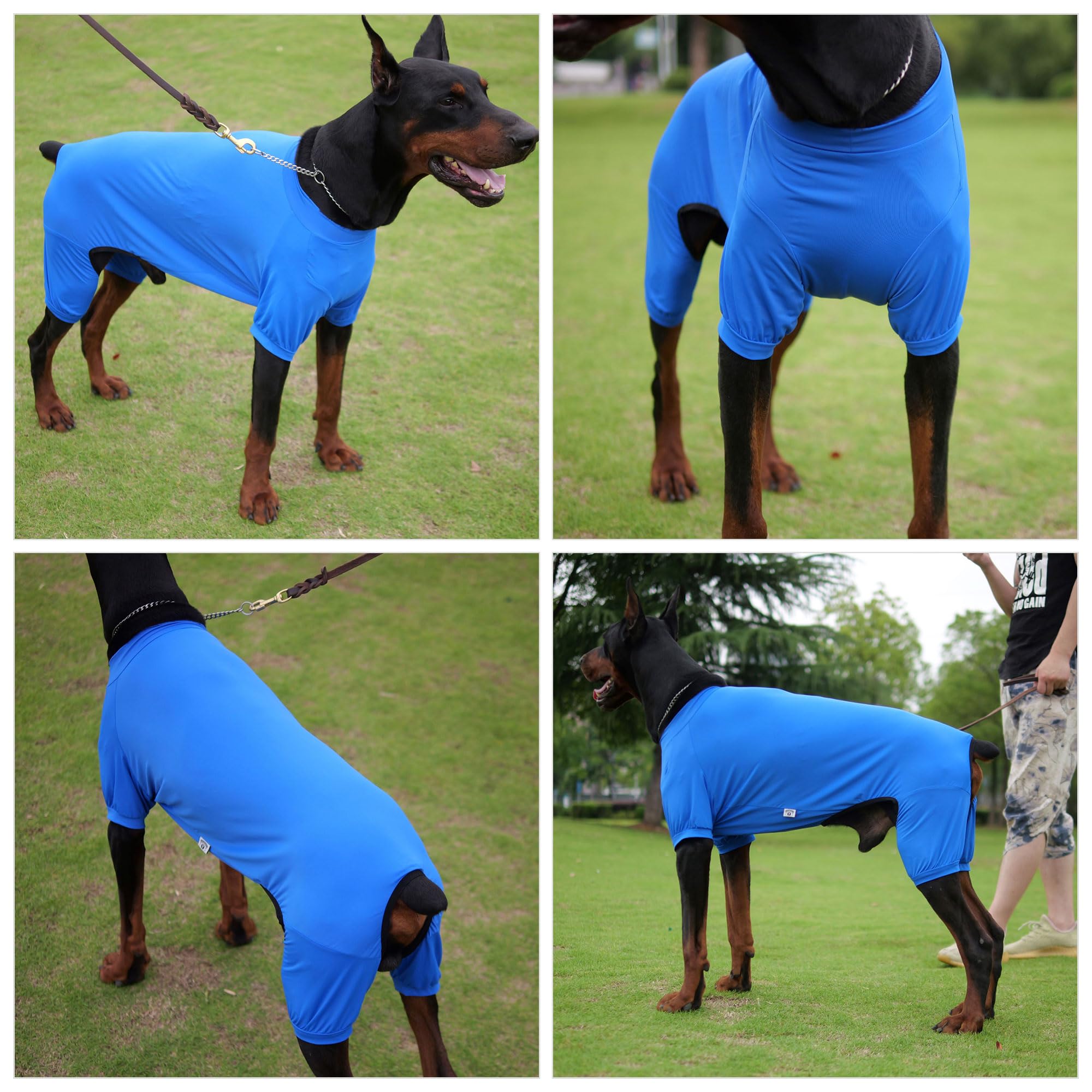 Lovelonglong Dog Jumpsuit With Uv Protection And Quick-Dry Fabric For Spring Summer Pet Pajamas Royel Blue L