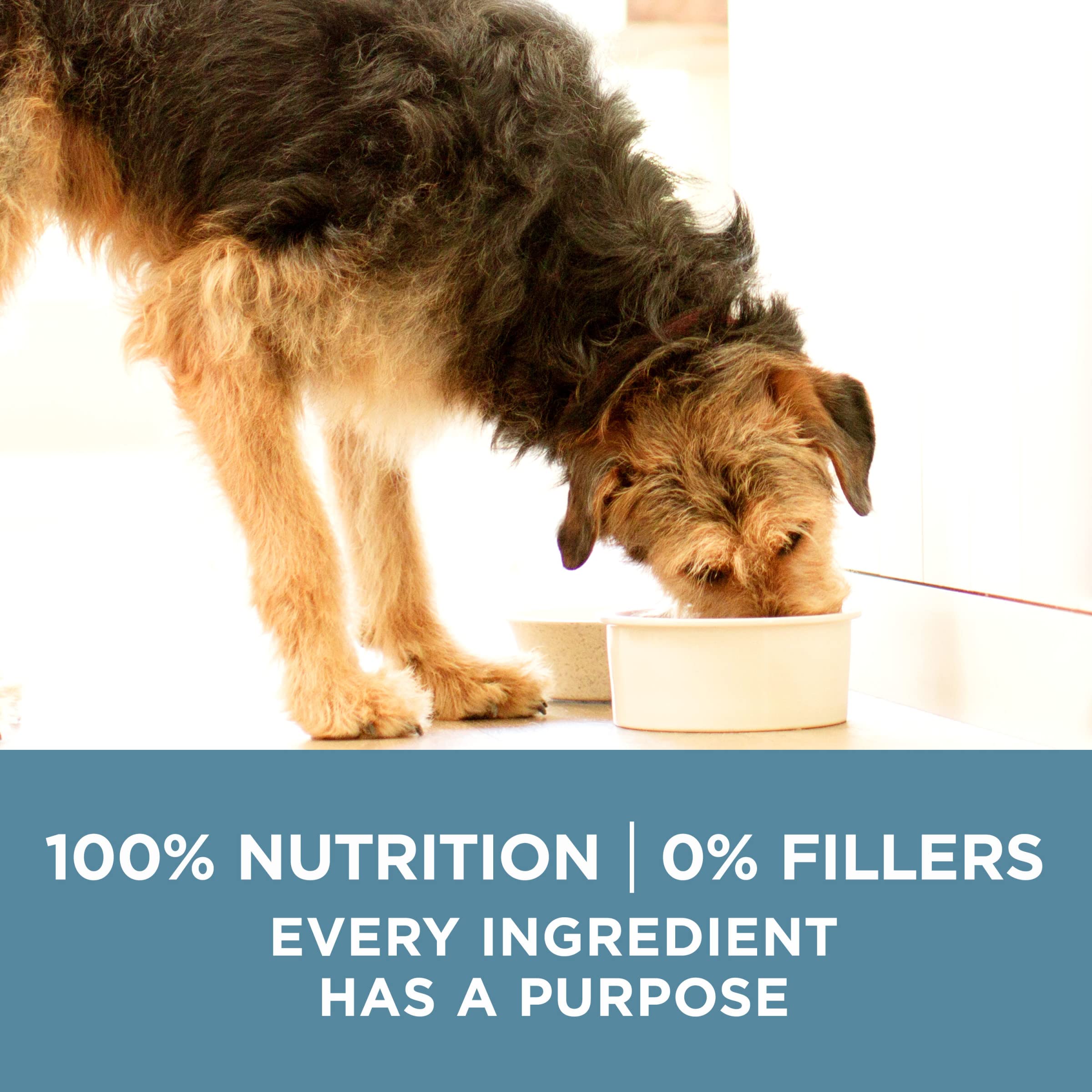 Purina ONE Plus Joint Health Formula Natural With Added Vitamins, Minerals and Nutrients Dry Dog Food - 31.1 lb. Bag