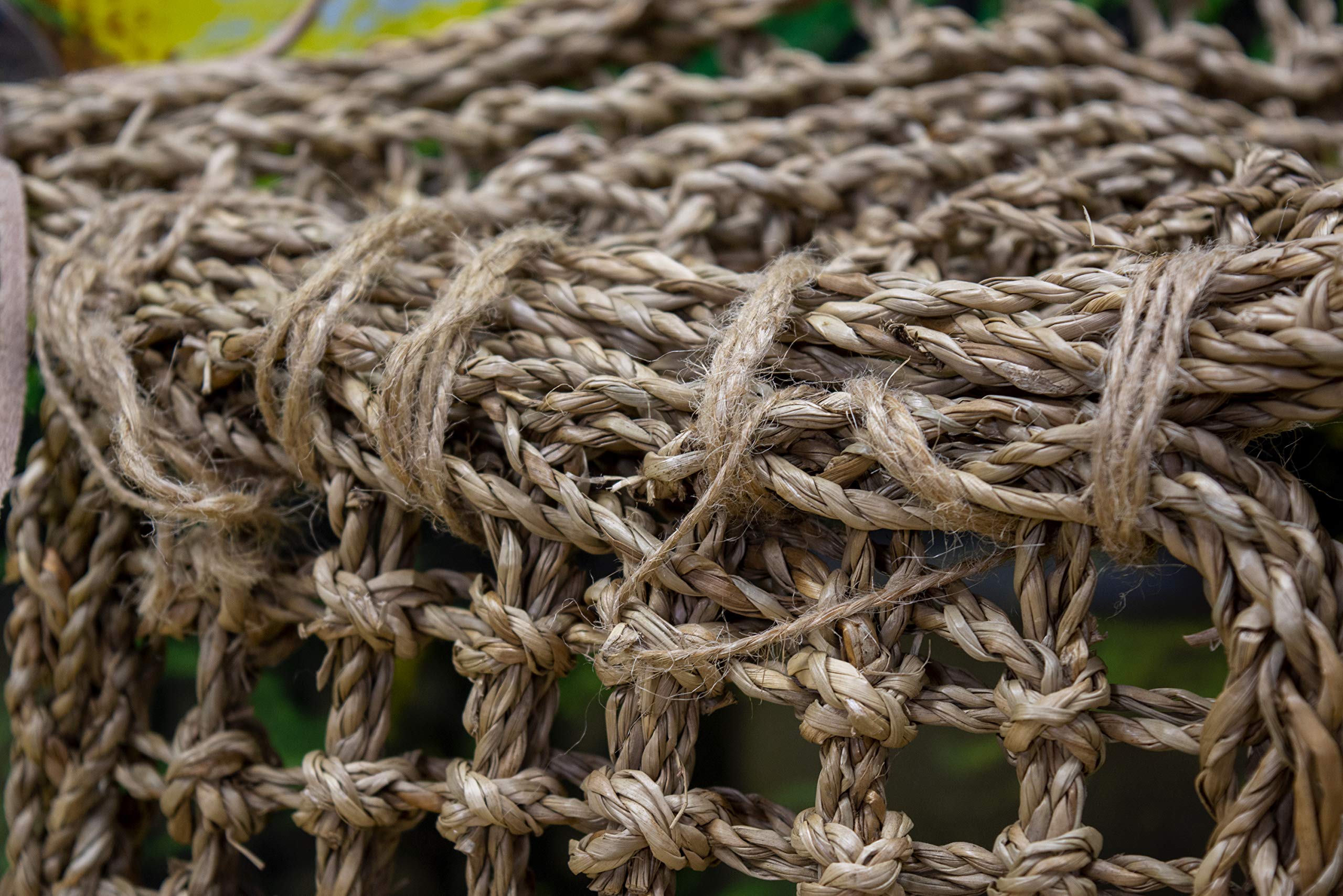 Penn-Plax 14X14 Lizard Lounger, Large By Penn-Plax