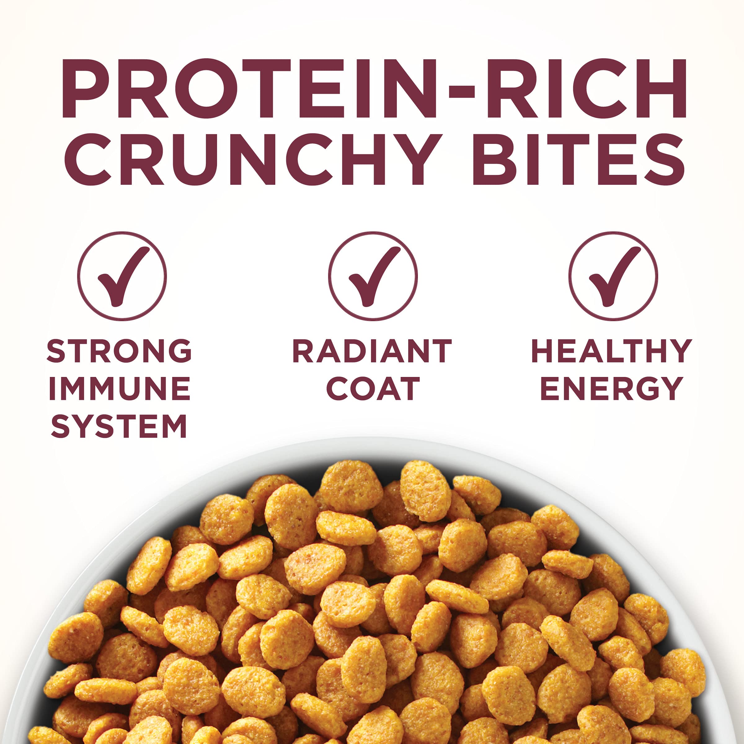 Purina ONE High Protein Dry Cat Food, +Plus Urinary Tract Health Formula - 22 lb. Bag