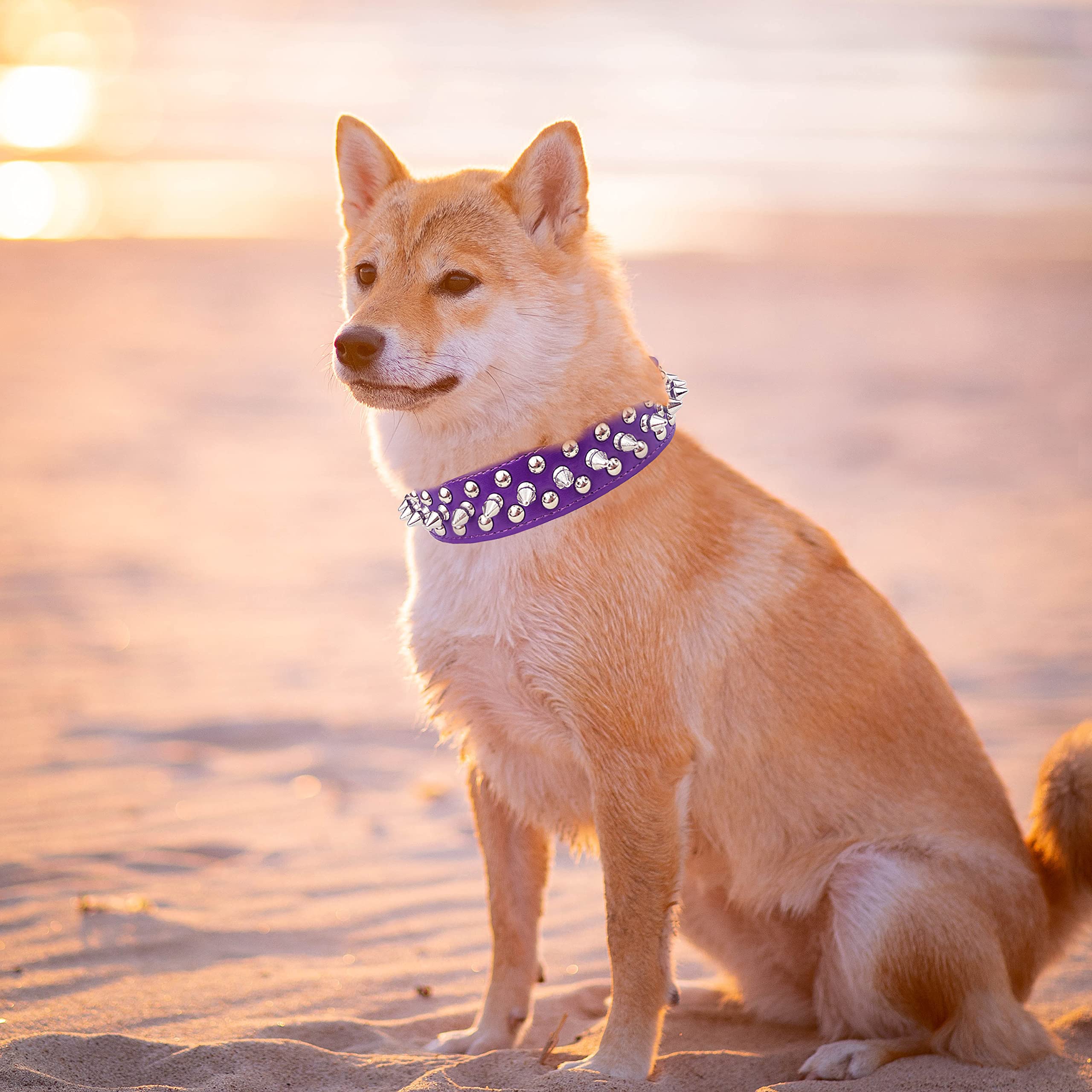 Teemerryca Adjustable Pu Leather Spiked Studded Dog Collars With A Squeak Ball Gift For Small Medium Large Pets Like Cats/Pit Bull/Bulldog/Pugs/Husky, Purple, L 15'-18.5'
