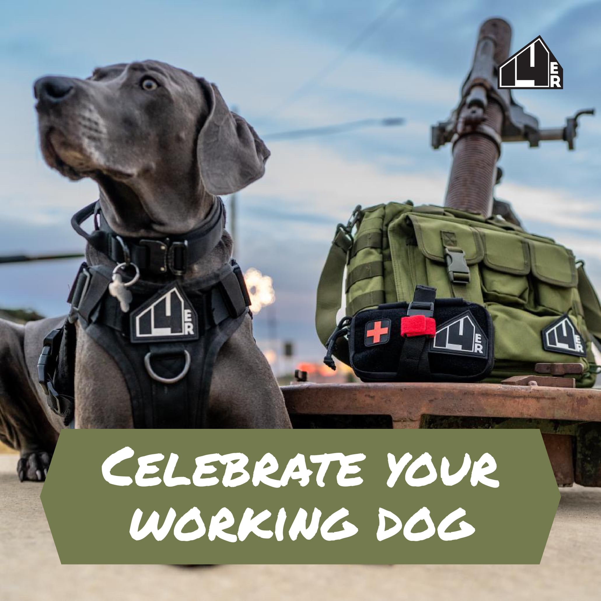 14Er Tactical Service Dog Patches | Ask To Pet Patch, Do Not Pet Patch, Service Dog In Training Patches | Service Dog Vest Patches, Dog Patches For Harness | Service Dog Patch Set (12-Pack)