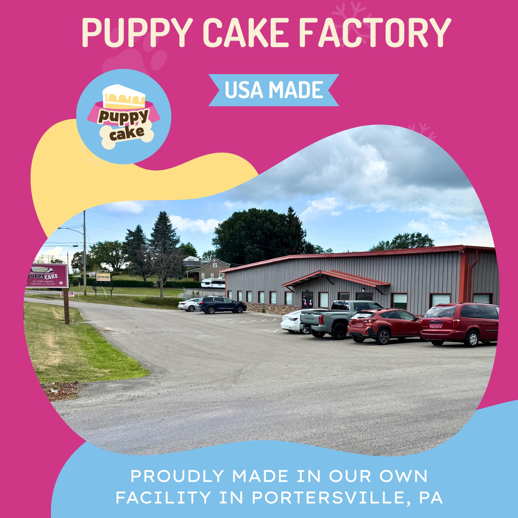 Cuppy Cake Microwave Dog Birthday Cake in a Cup - Just Add Water & Microwave, Ready in 2 Minutes - Icing and Sprinkles - (Birthd