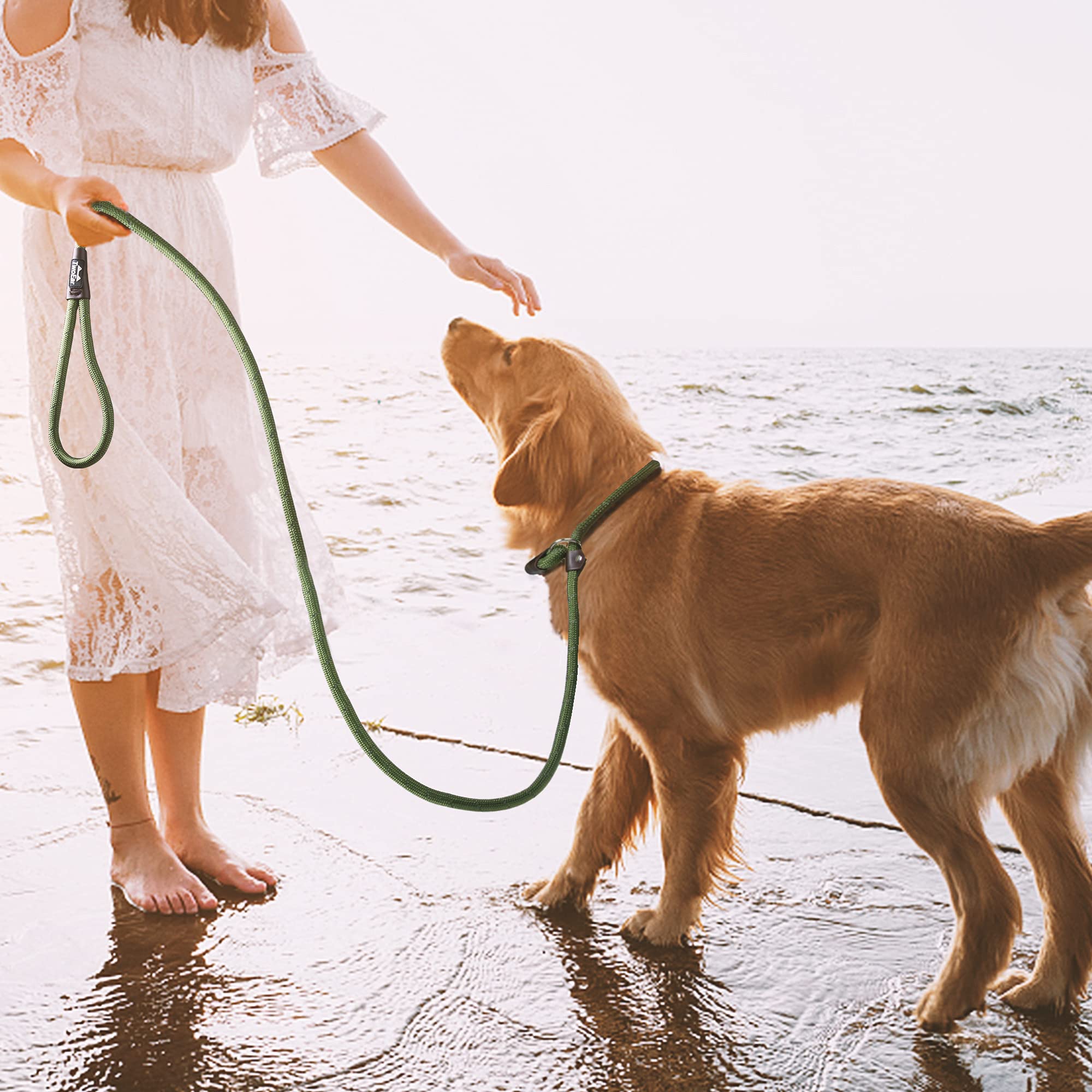 Twoear Dog Leash Dog Slip Rope Leash 6Ft Dog Training Leash Heavy Duty Strong Slip Lead Highly Reflective Threads For Small Medium And Large Dogs (Slim(3/8''X6Ft), Green)