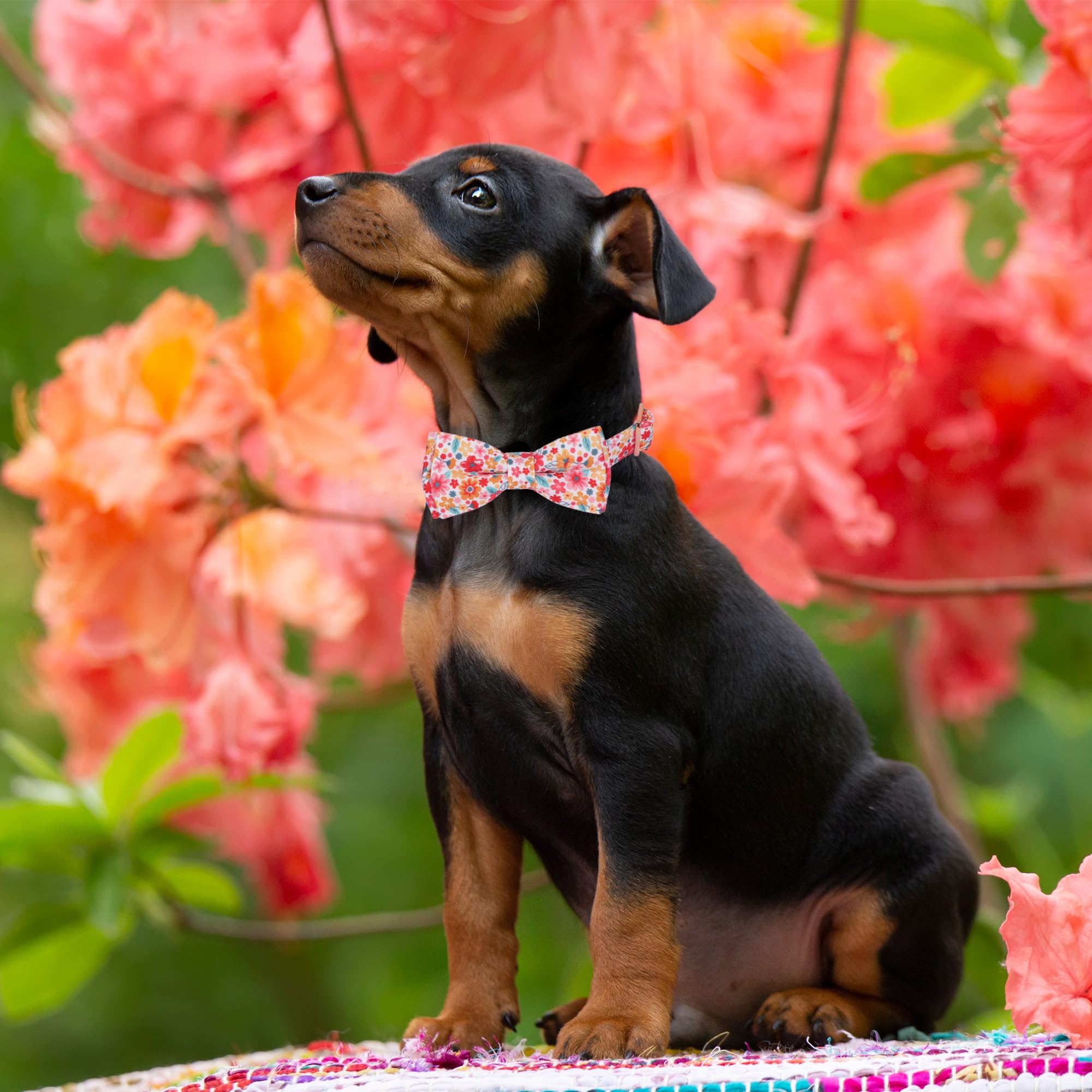 Adoggygo Floral Dog Collar With Bow, Metal Buckle, Adjustable Red Pink Pet Flower Collar For Small Dogs (Small)