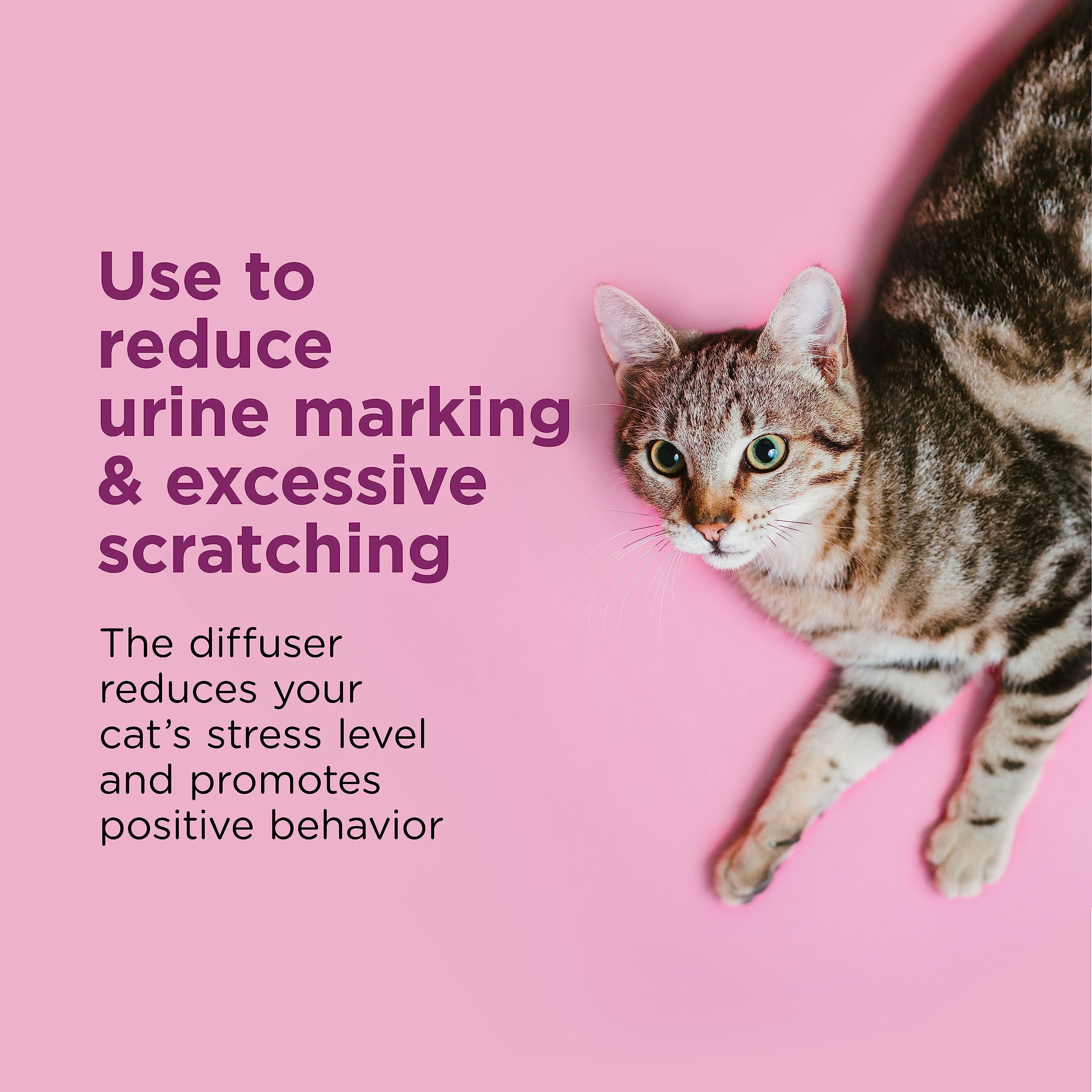 Comfort Zone Cat Calming Diffuser: Home Kit (2 Diffusers & 2 Refills)