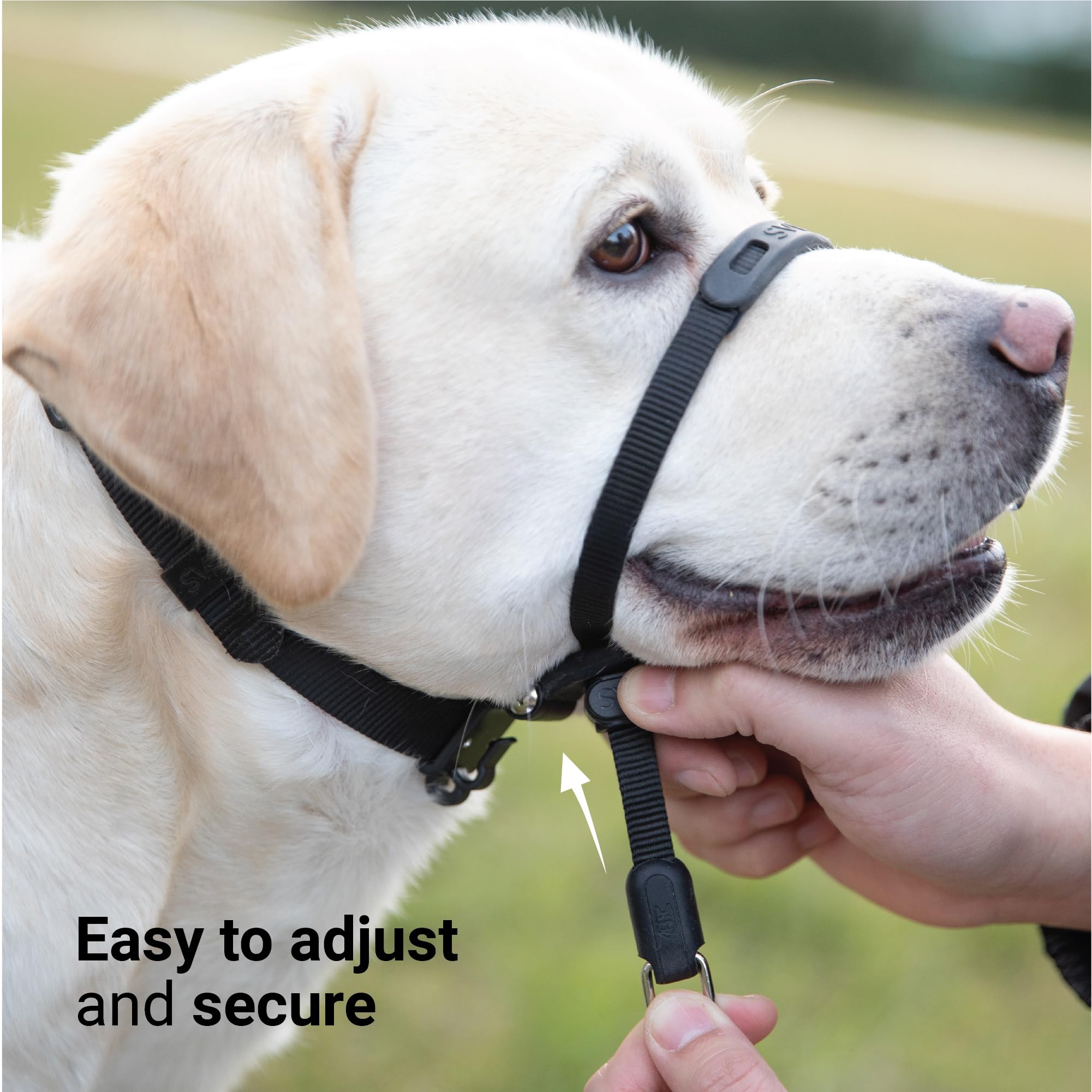 Svd.Pet No-Pull Dog Headcollar For Easier Walks, Chew-Proof Protector To Increase Comfort, Simple Design, Easy To Wear And Adjus