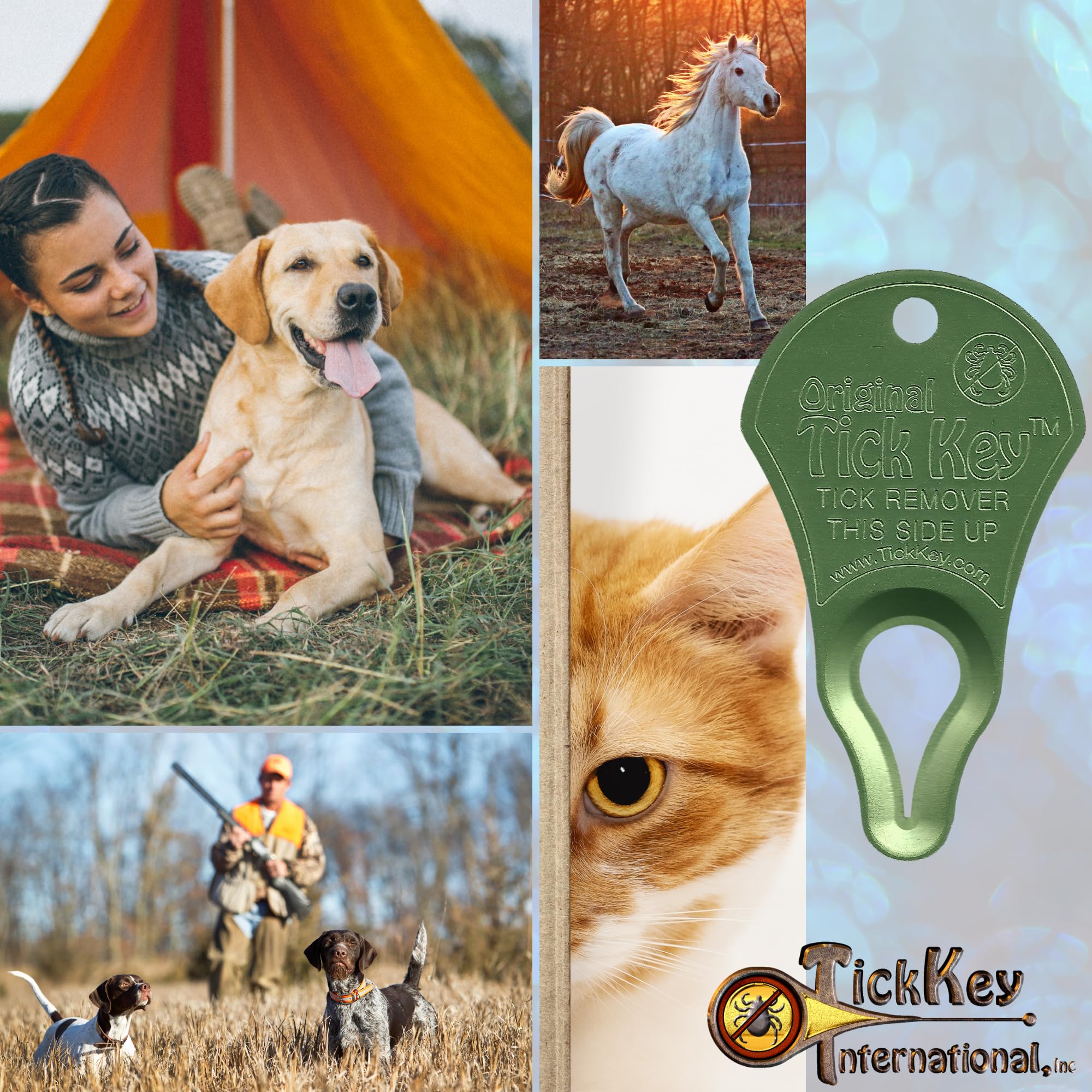 The Original Tick Key - Tick Detaching Device - Portable, Safe And Highly Effective Tick Detaching Tool (Light Green)