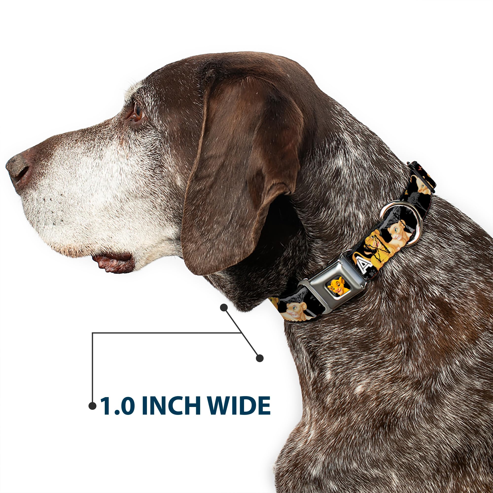 Buckle-Down Dog Collar Seatbelt Buckle Lion King Simba Nala Hakuna Matata 11 To 17 Inches 1.0 Inch Wide, Multi Color (Dc-Wdy046-M)