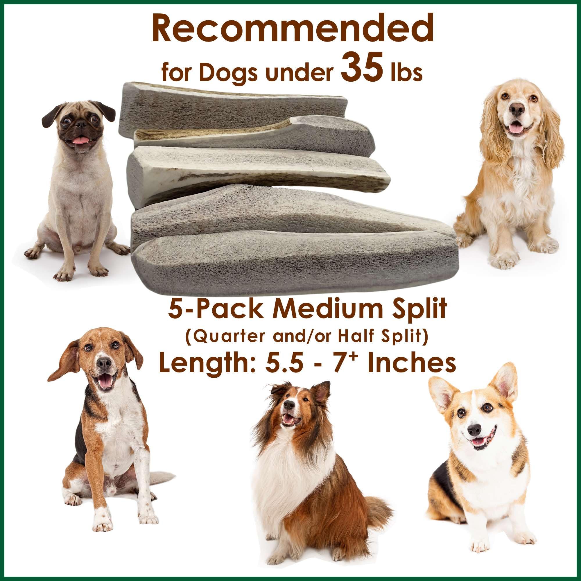 Deluxe Naturals 5-Pack Medium Split Elk Antler Dog Chews (5.5 to 7+ in) - All Natural, Premium Grade A, Odor-Free, USA-Sourced -