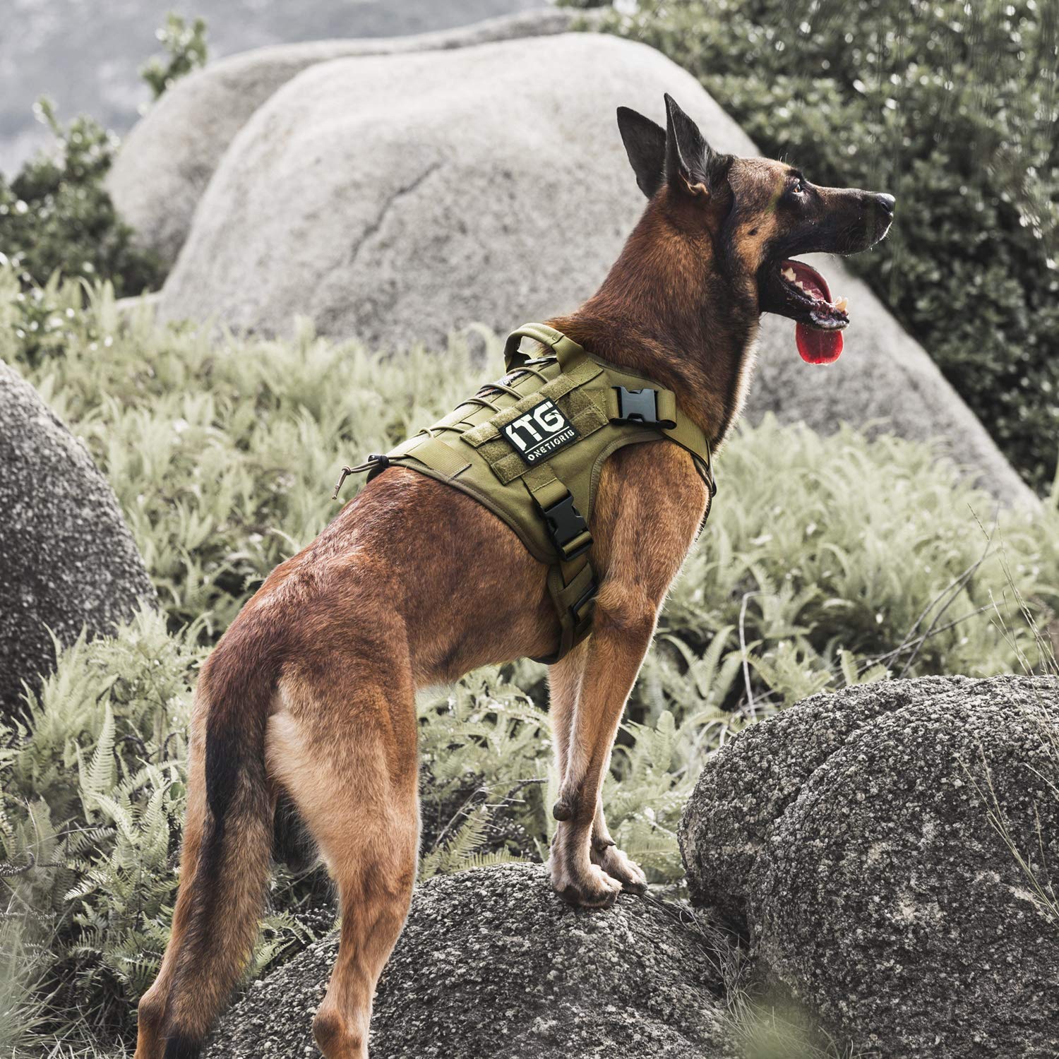 OneTigris Tactical Dog Harness,No-Pull Dog Vest with Leash Clips,Dog Harness Adjustable for Hiking Training Outdoor Dogs(Ranger