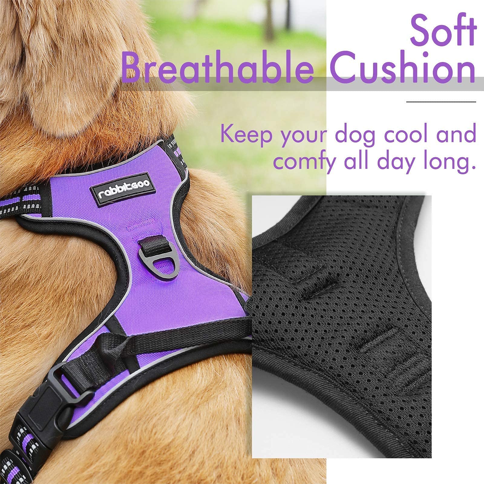 Rabbitgoo Dog Harness, No-Pull Pet Harness With 2 Leash Clips, Adjustable Soft Padded Dog Vest, Reflective No-Choke Pet Oxford Vest With Easy Control Handle For Large Dogs, Purple, Xl