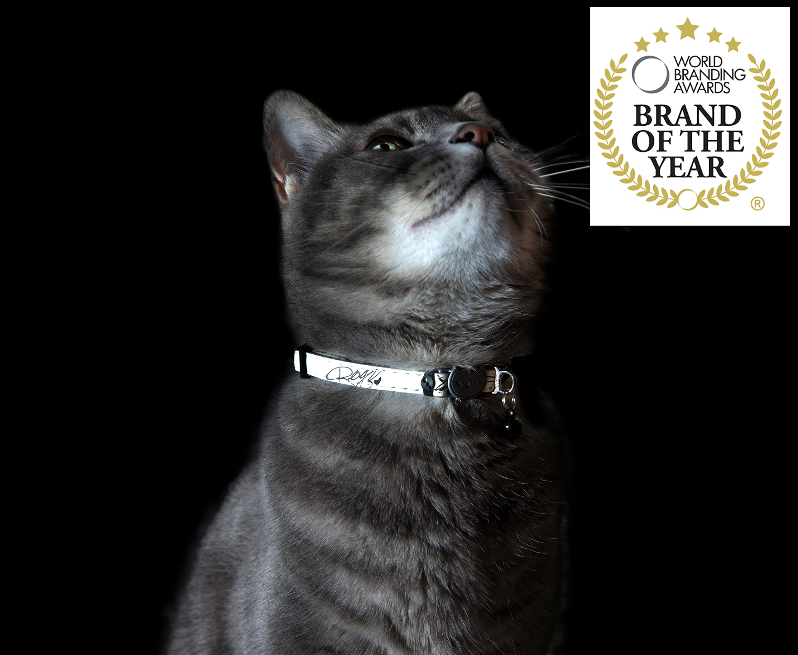 Rogz Glow In The Dark Reflective Cat Collar With Breakaway Clip And Removable Bell, Fully Adjustable To Fit Most Breeds, Blue Floral Cat Design