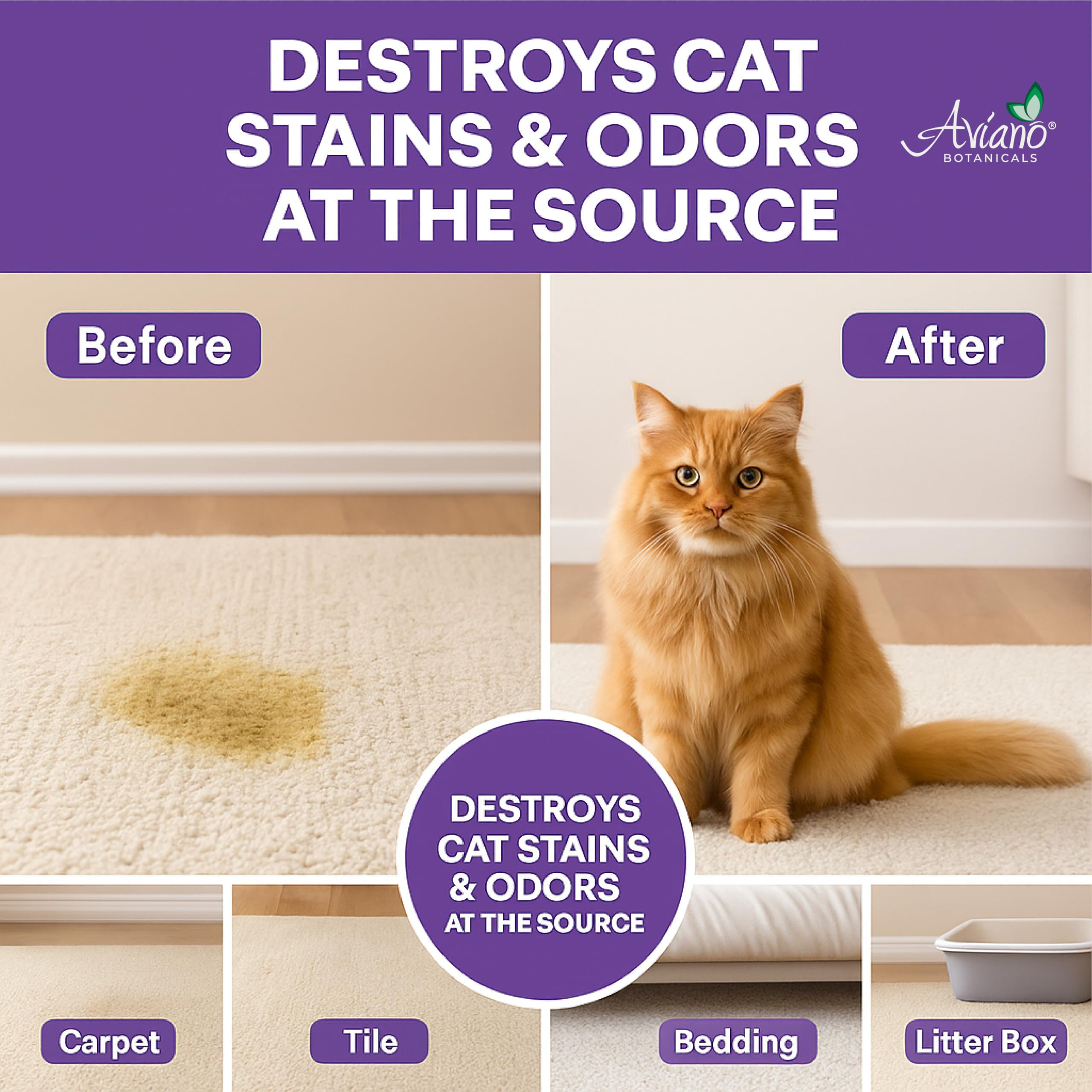 Aviano Cat Enzyme Cleaner - 1 Gallon - Made in USA - Odor Eliminator with Lemon Scent - Pet & Carpet Enzyme Cleaner for Cat Pee,