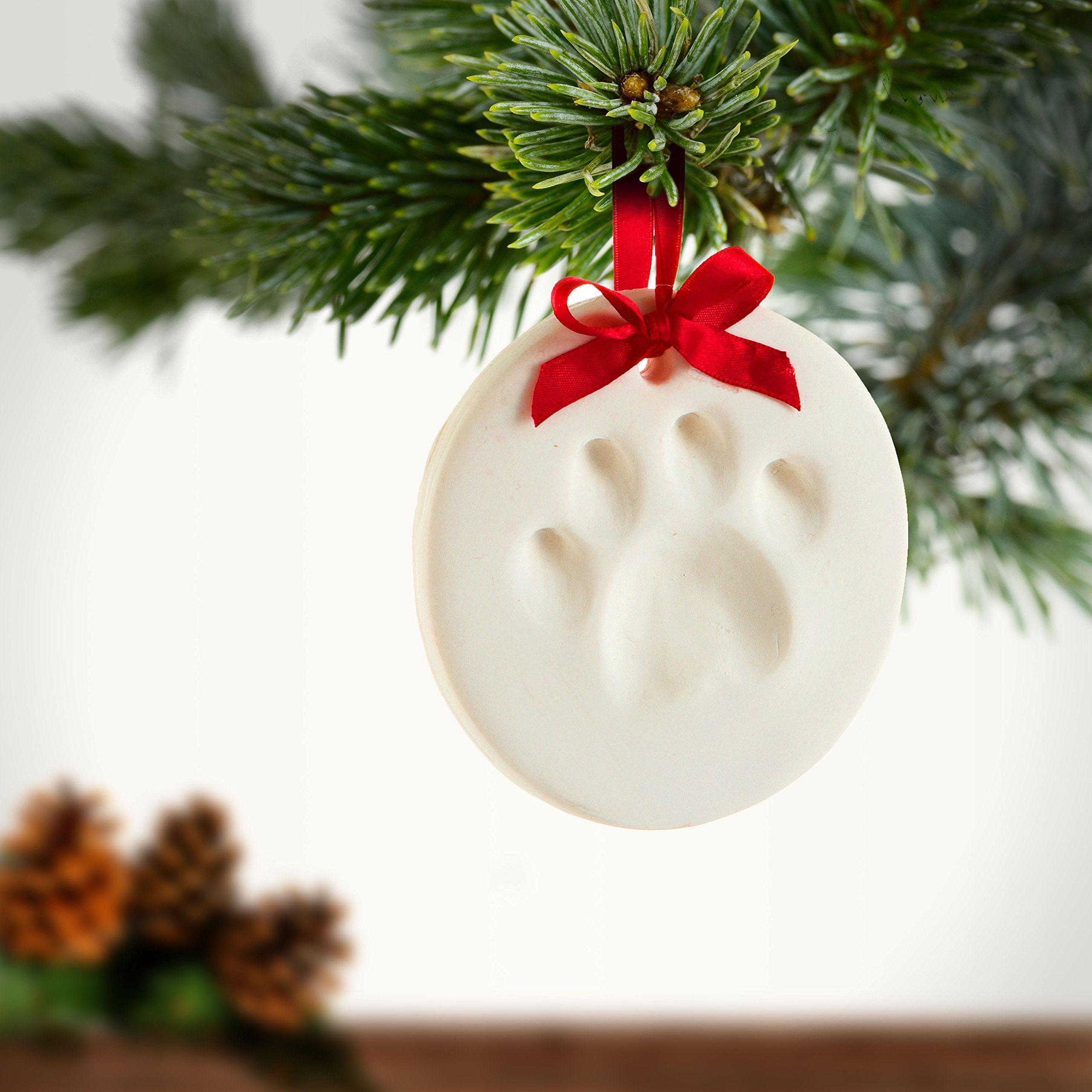 Kate & Milo Holiday Pawprints Christmas Ornament, DIY No Mess Clay Pawprint Impression Kit, Pet Memorial Keepsake, Dog or Cat Gi