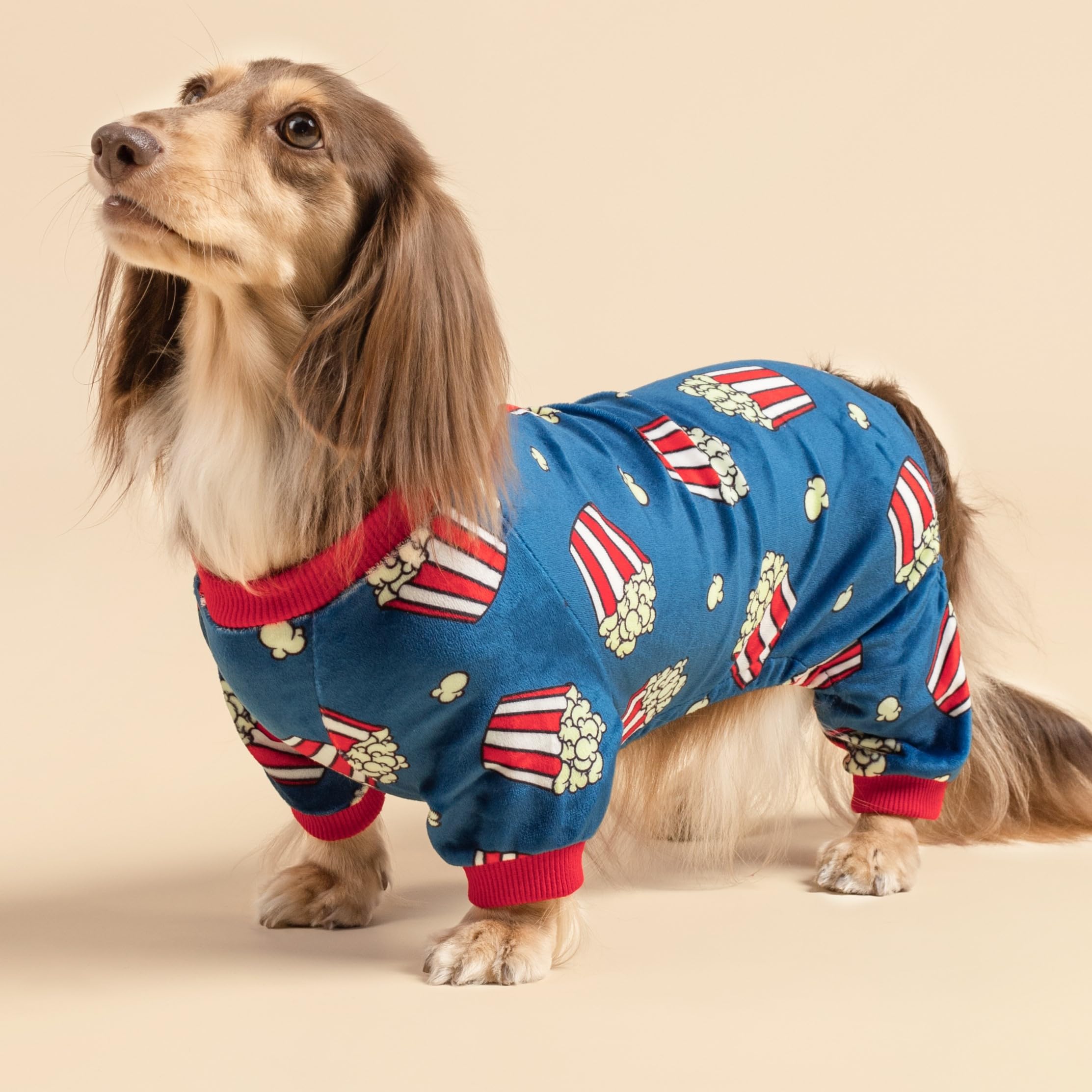 Fitwarm Popcorn Dog Pajamas, Funny Dog Clothes For Small Dogs Boy Girl, Fleece Pet Onesie With Feet, Blue, Red, White, Yellow, L