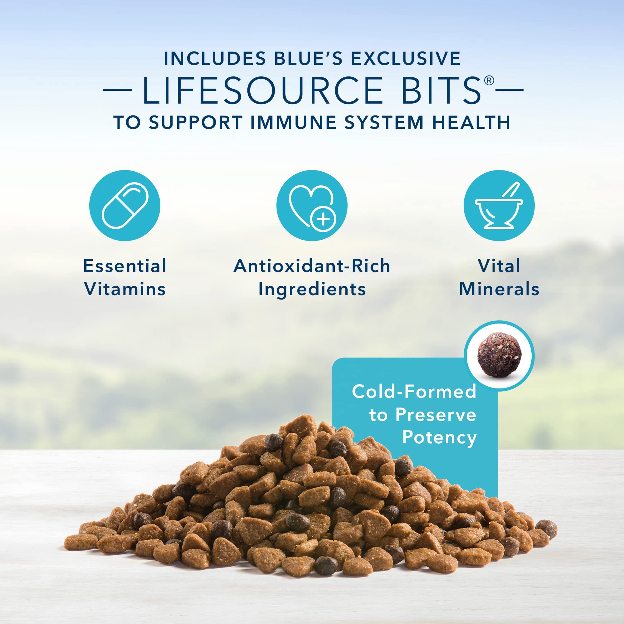 Blue Buffalo Life Protection Formula Small Breed Puppy Dry Dog Food with DHA, Vital Nutrients & Antioxidants, Made with Natural