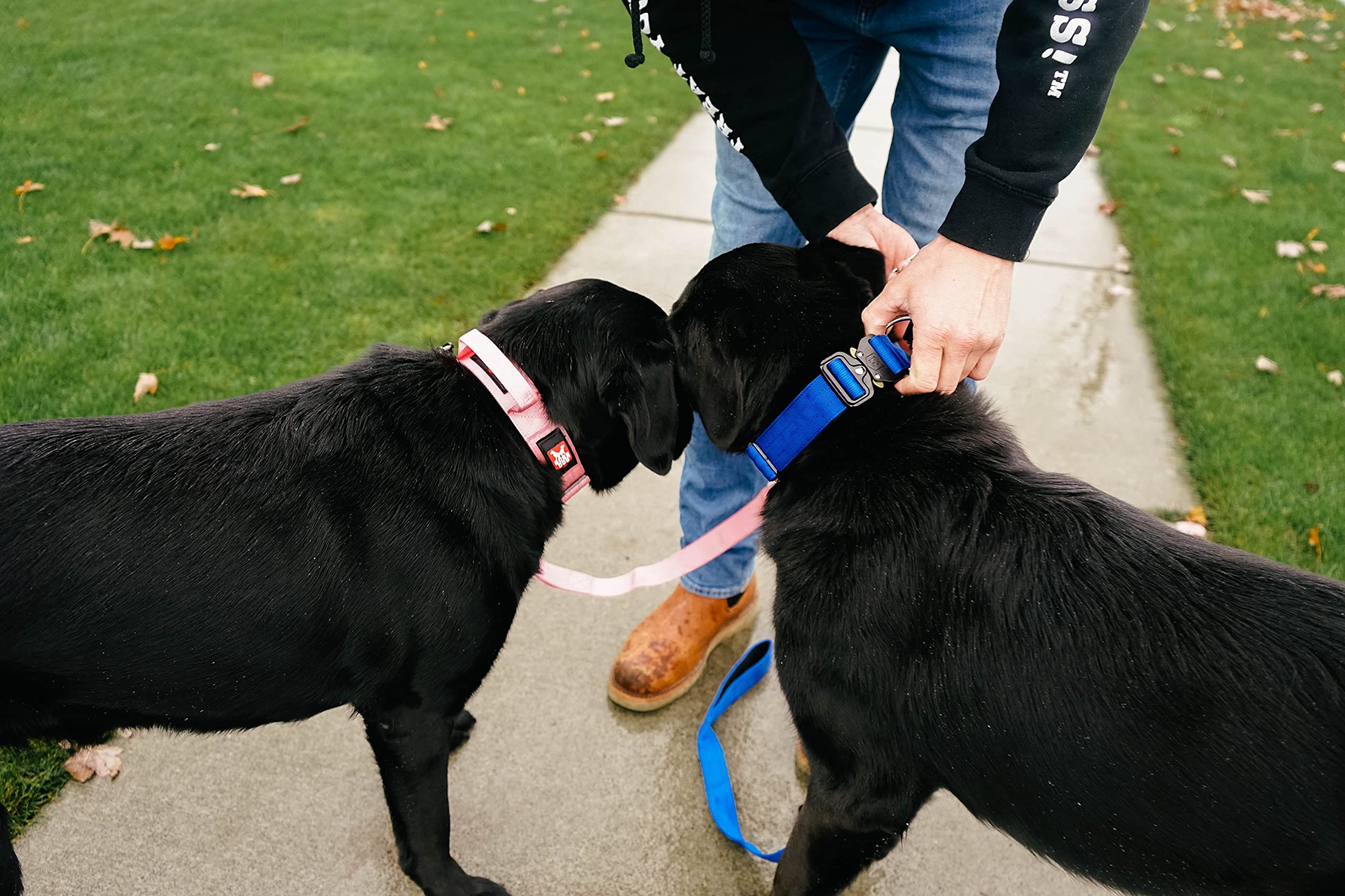Boss Dog Tactical Collar, Blue, X-Large