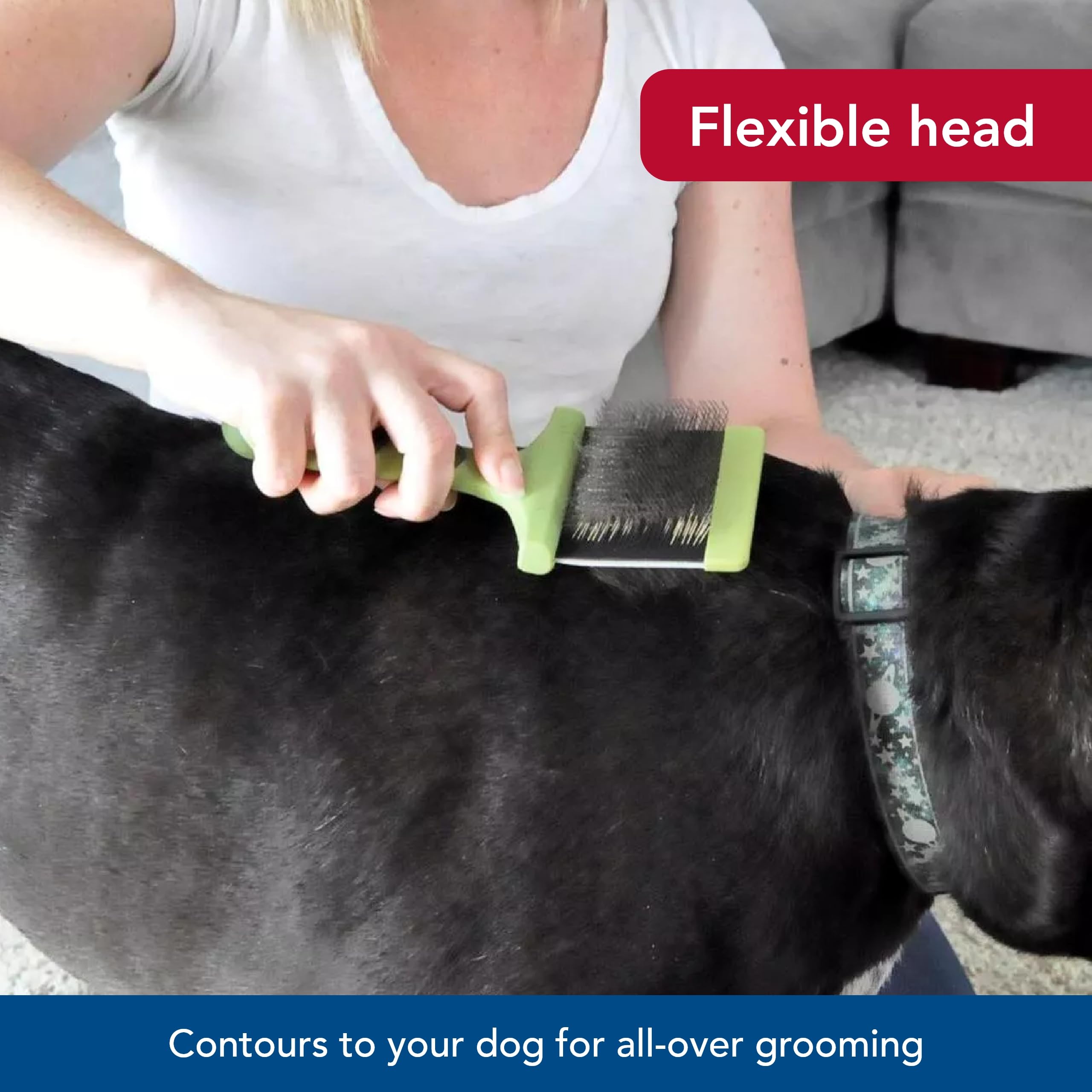 Coastal Pet Safari Dog Flexible Slicker Brush - Dog Brush For Shedding - Undercoat Rake And Grooming Brush For Small And Medium Dogs - Small