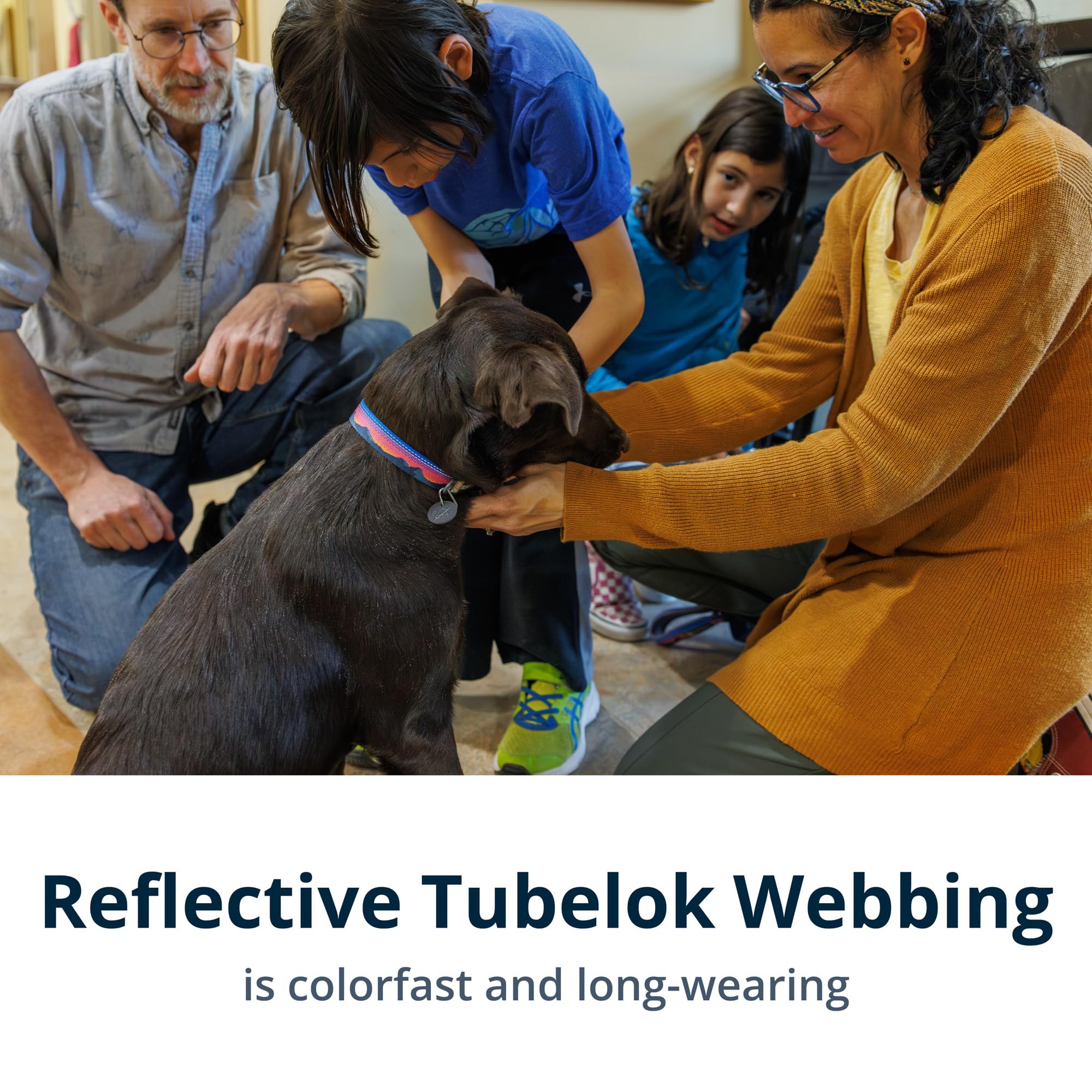 Ruffwear, Crag Ex Leash, Extendable Dog Leash, Hand-Held Or Waist-Worn Reflective Lead, Grassy Oxbow