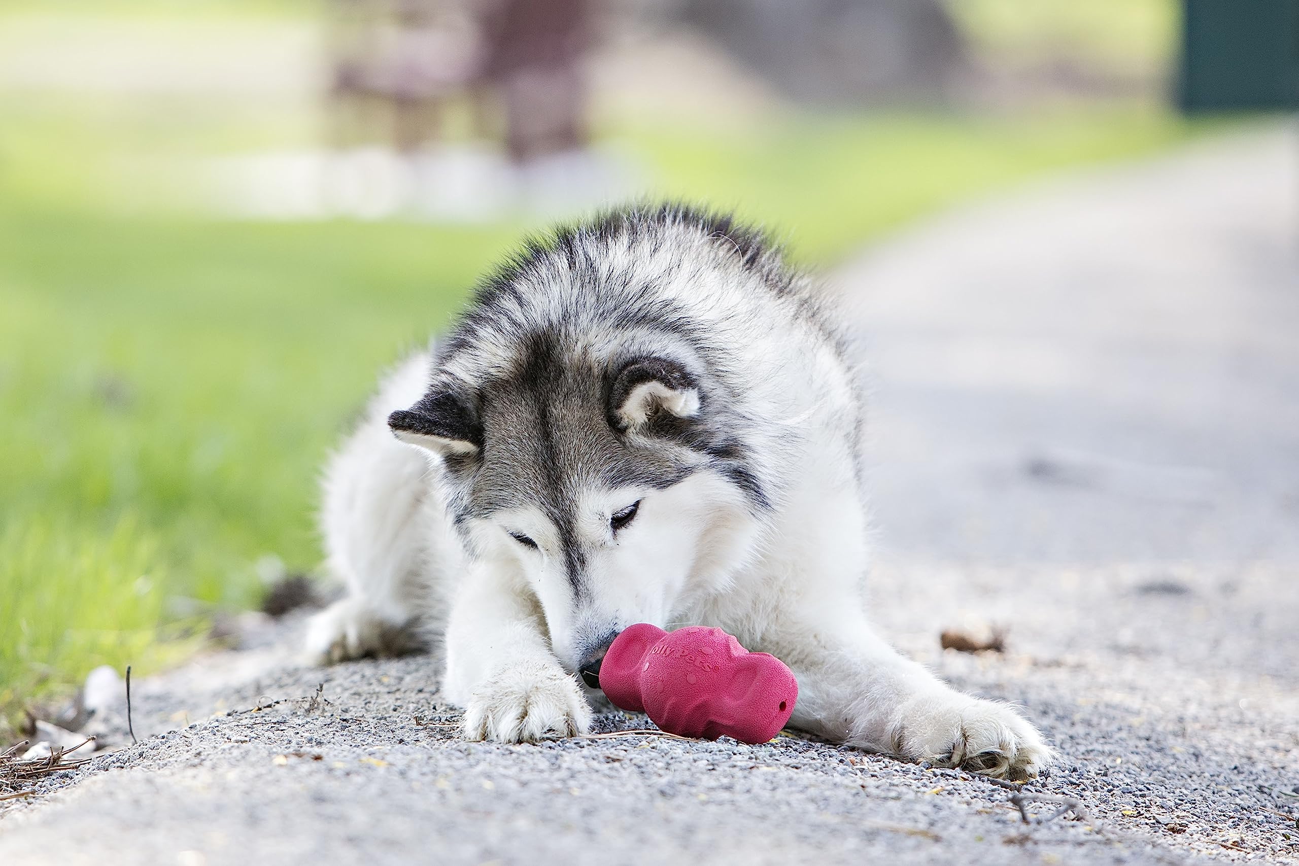 Jolly Pets Tuff Range Tuff Teeter Bouncing Treat Dispenser Dog Toy, 5 Inches, Red