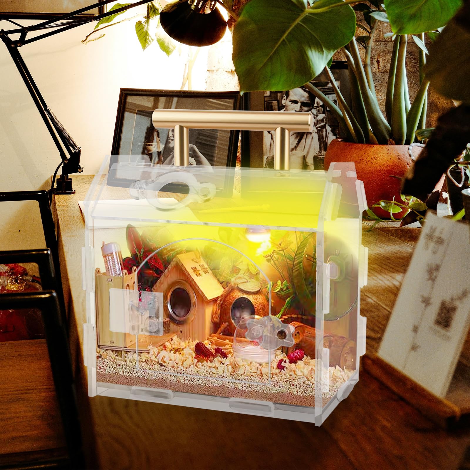 Jumping Spider Enclosure Acrylic Terrarium: Tarantula Enclosure With Front Opening Door - 5.9 * 4.7 * 6.1 Inches Micro Habitat T