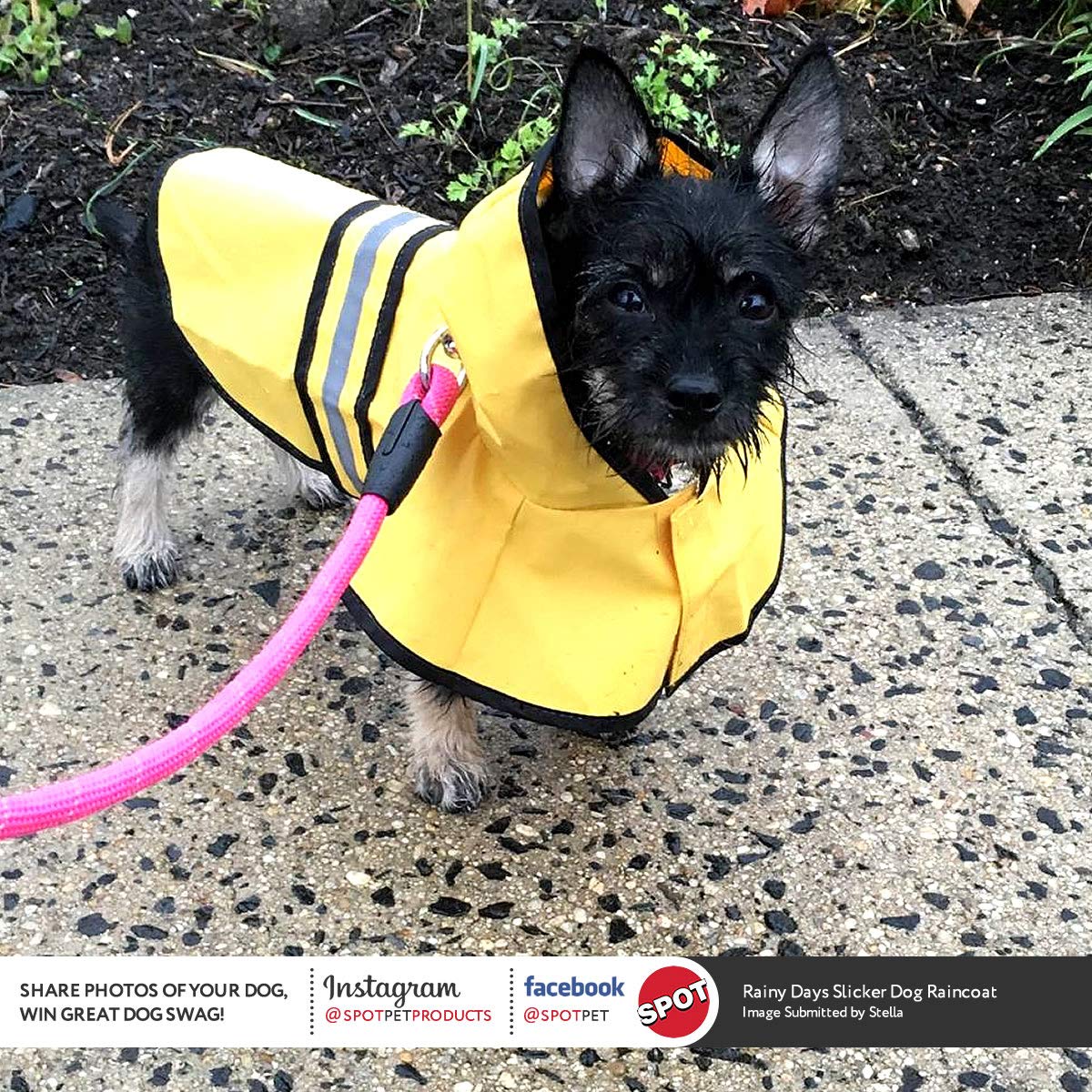 SWT SM YELLOW RAIN SLICKER 560YSM