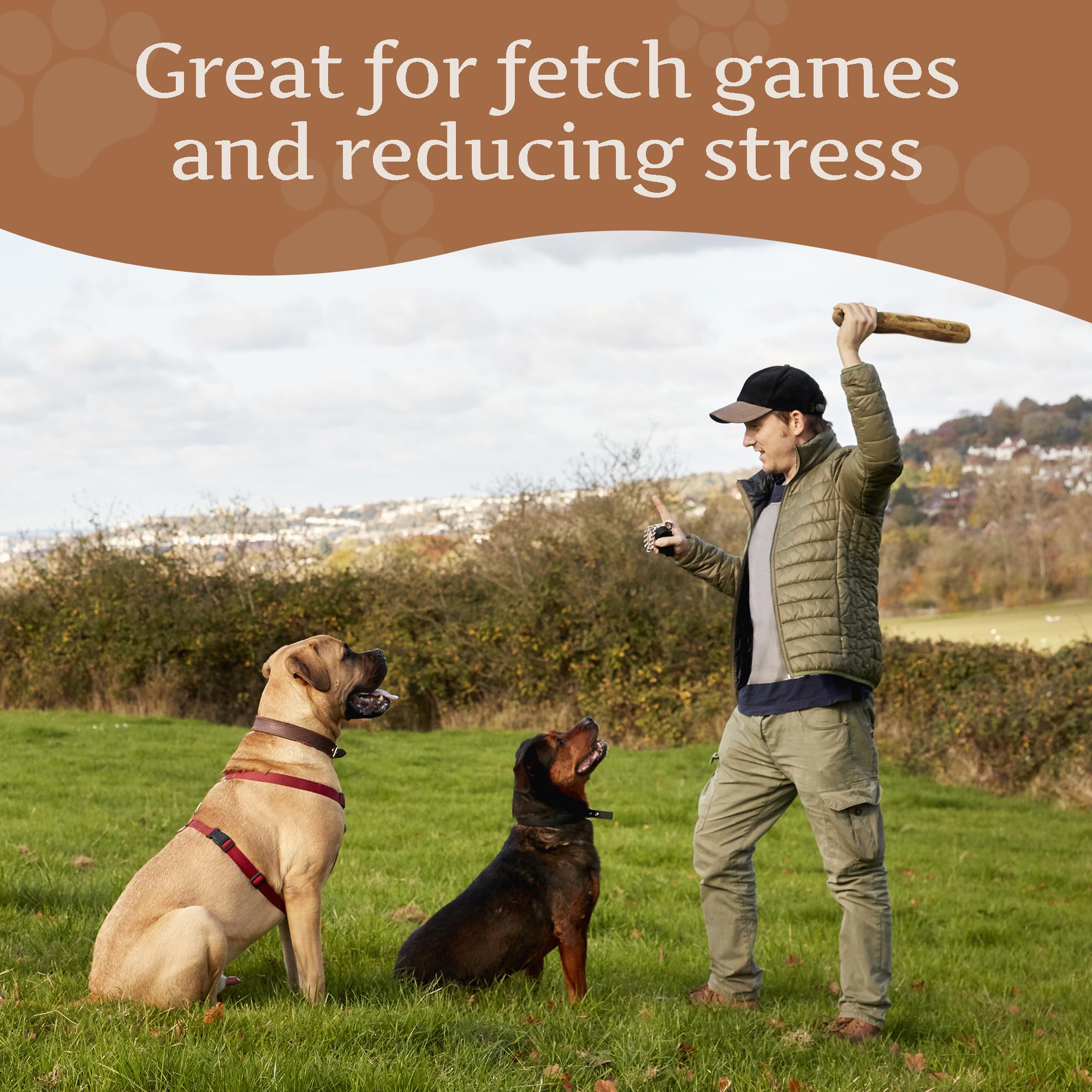 Wildfang® Olive Wood Dog Chew Puppy Teething Toys Dog Stick Toy-Long Lasting Natural Chew Toys For Dogs, Root Chews For Dogs, Wooden Dog Chew Stick, Tree Root Dog Bones, Wood Chew For All Dogs-Large