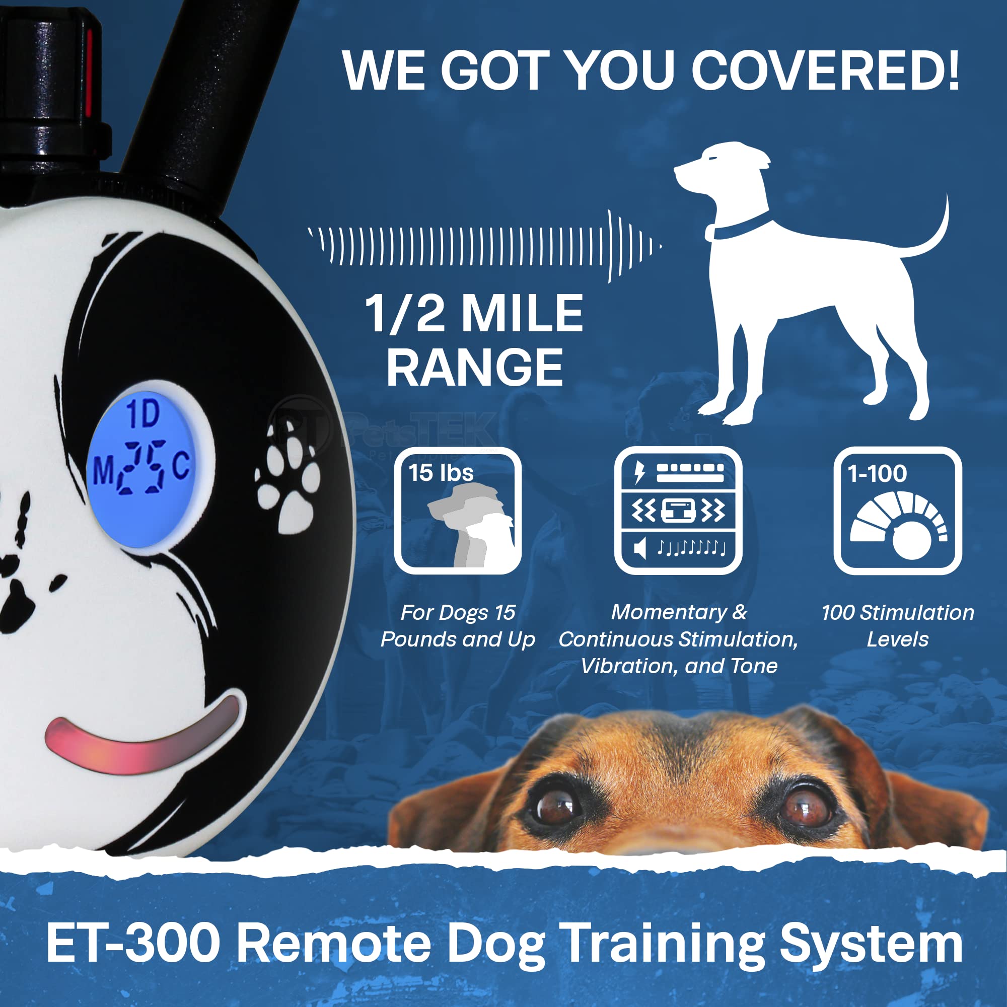 Mini Educator Et-302 Zen - 1/2 Mile E-Collar Dog Training Collar With Remote - Static, Vibration & Tone Electric Training For Sm