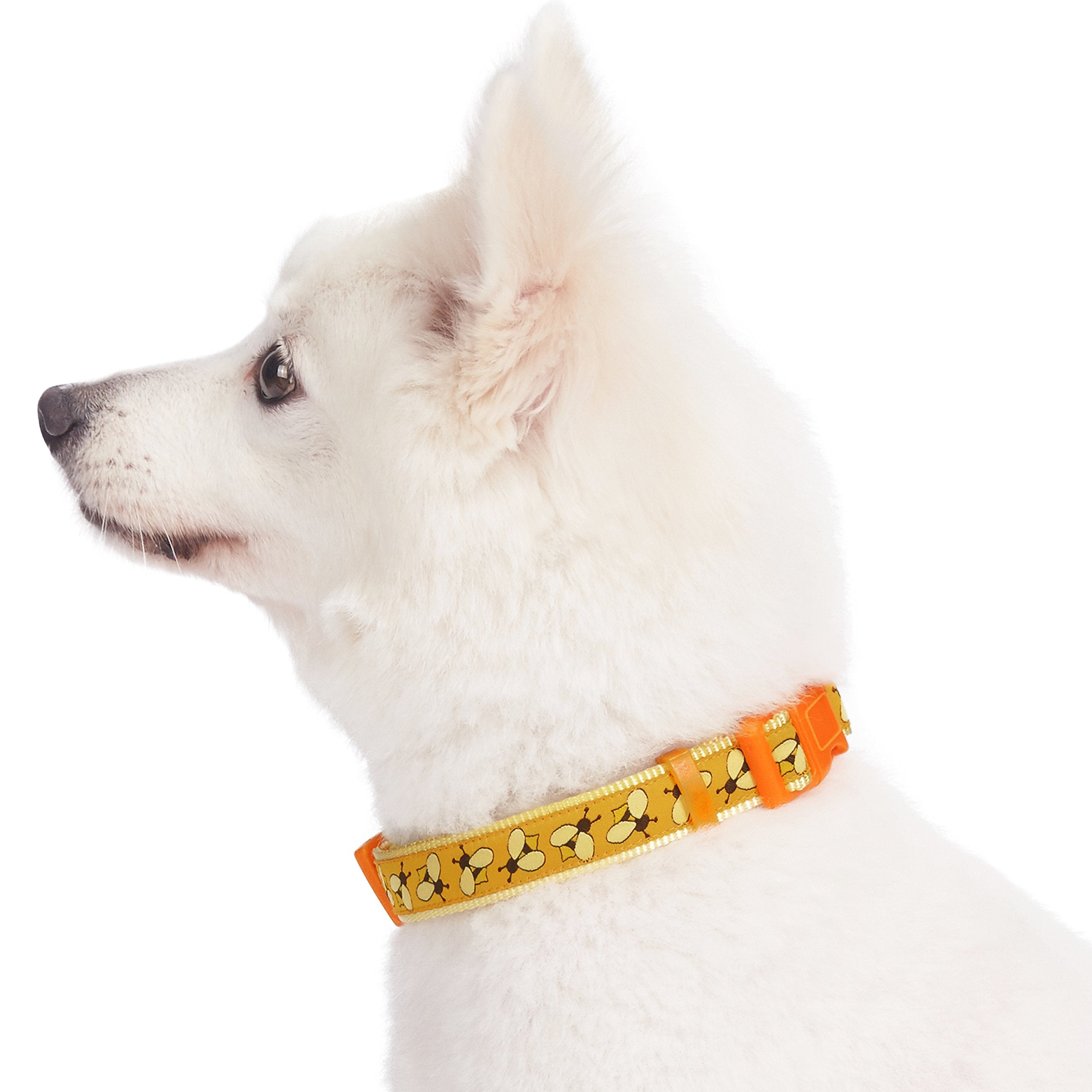 Blueberry Pet Essentials 10 Patterns Statement Busy Bees Designer Adjustable Dog Collar, Small, Neck 12''-16''