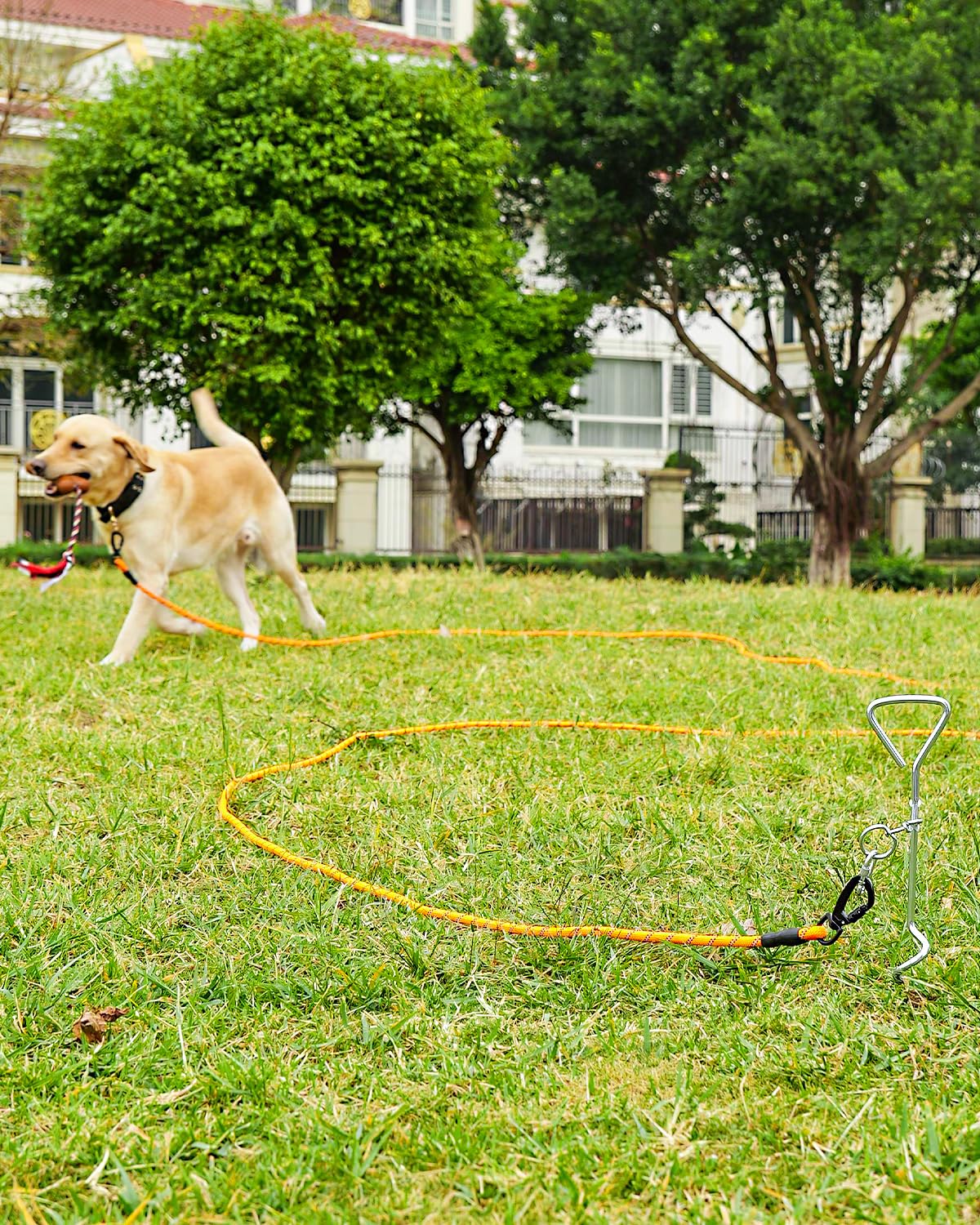 Joytale Dog Leash, Heavy Duty 30FT Reflective Nylon Lead with Padded Handle, Orange, for Large Medium Dogs, Model A95001