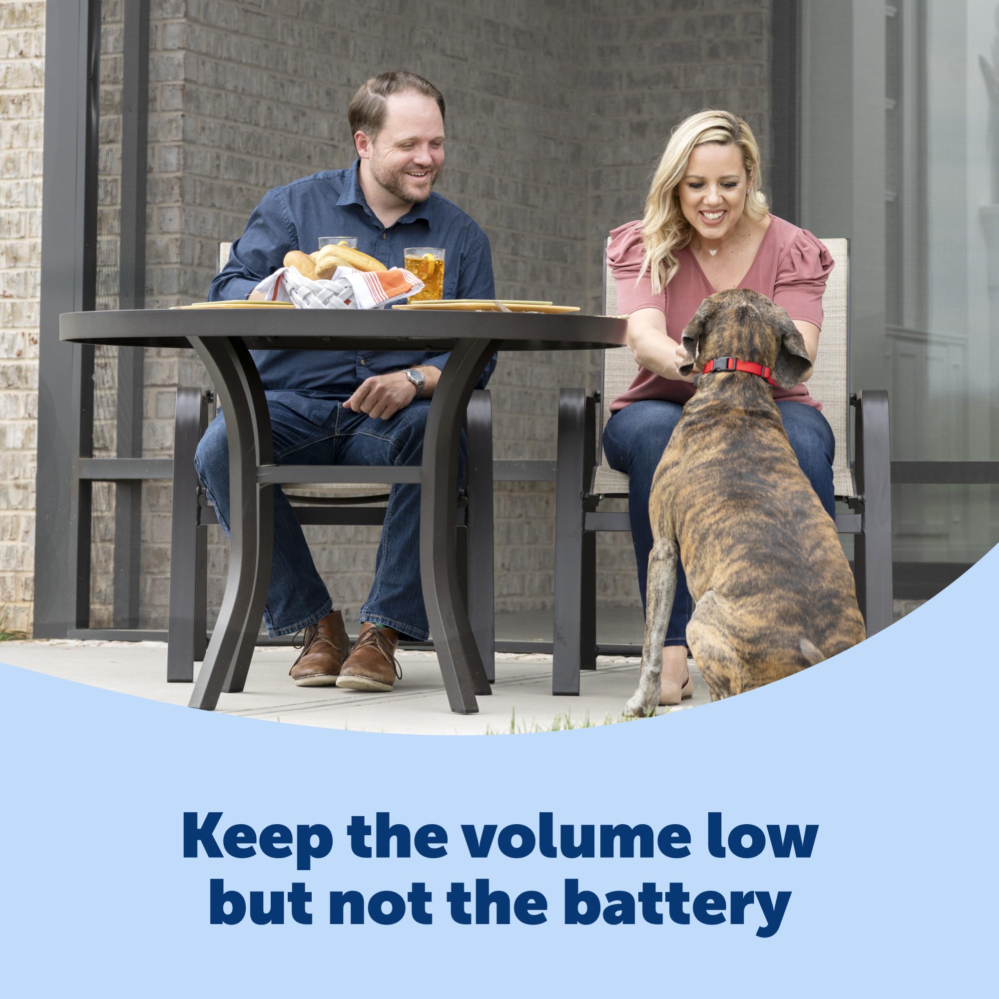 Petsafe Basic Bark Control Collar For Dogs 8 Lb. And Up, Anti-Bark Training Device, Breeds, Waterproof, Static Correction, Canine - Automatic Dog Training Collar To Decrease Barking