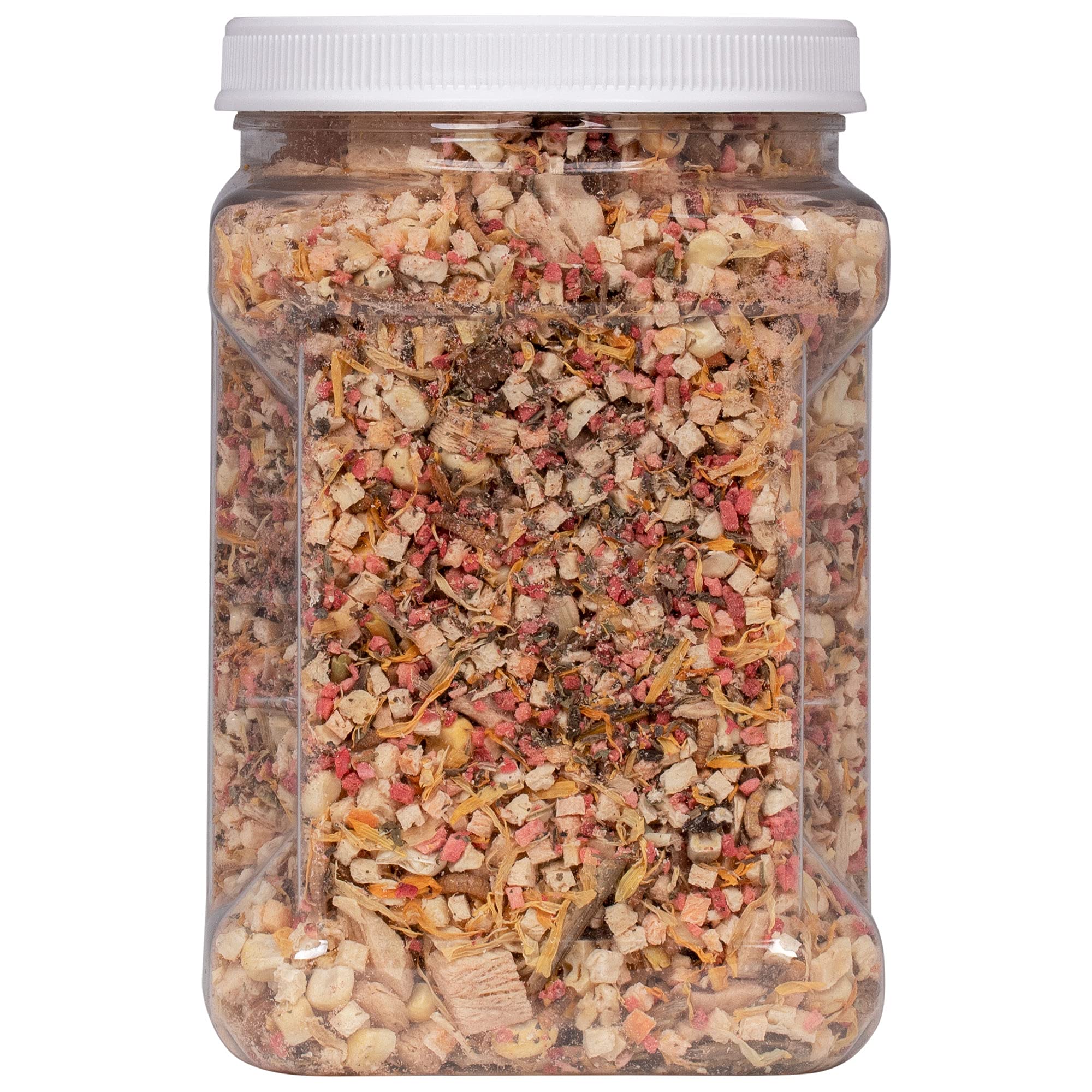 Healthy Herp Box Turtle Food Instant Meal for Reptiles - Nutritious Turtle Food, Tortoise Habitat Accessories, Tortoise Food - M