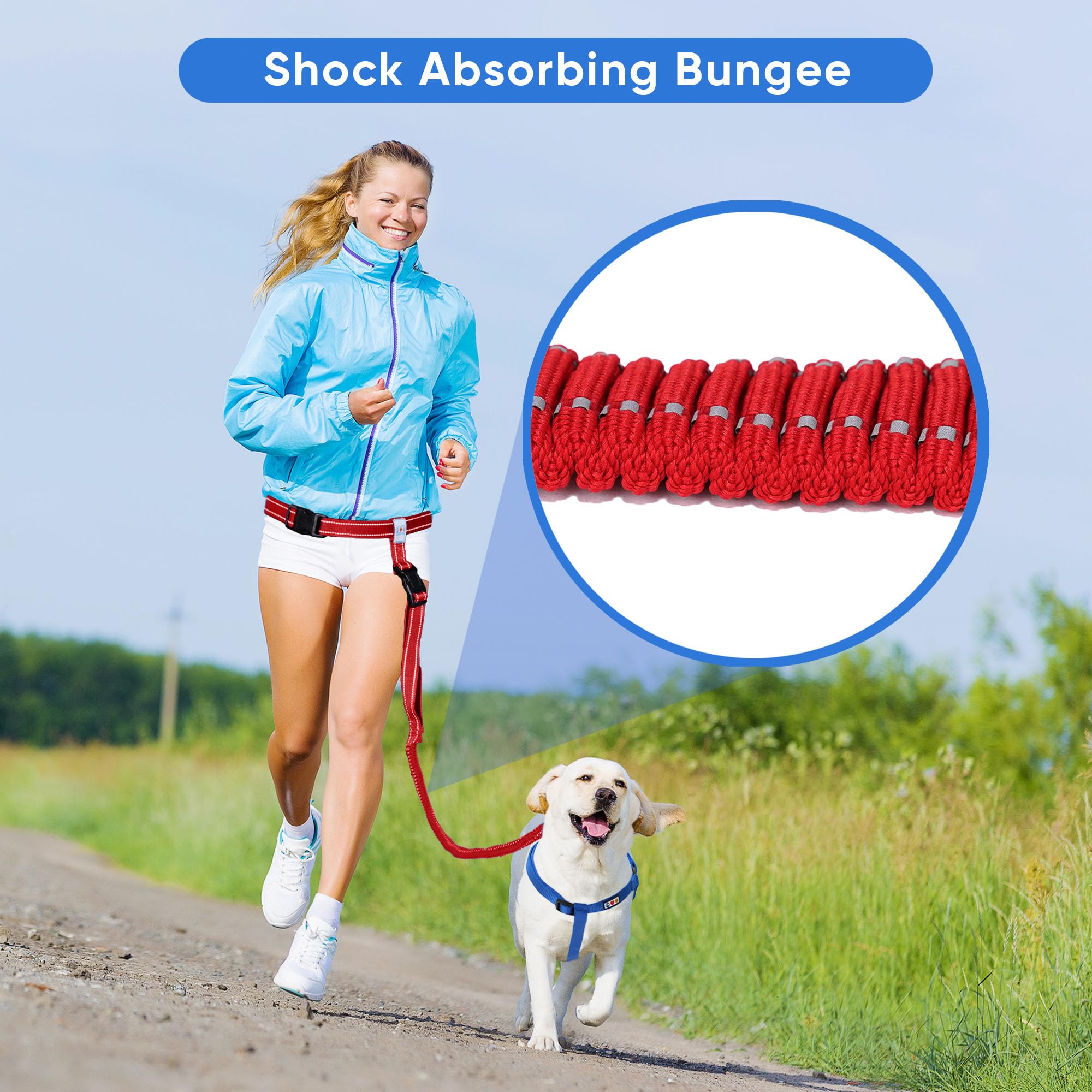 Pawtitas Red Hands Free Dog Leash For Large Dogs, Running Leash With Bungee, Reflective For Night Walking