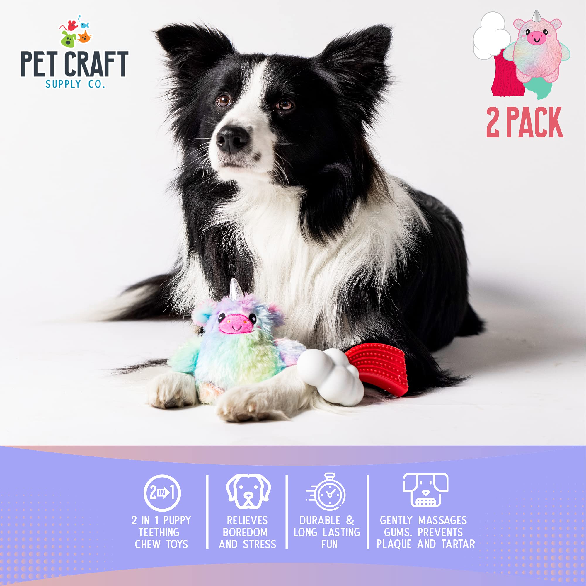 Pet Craft Supply Puppy Teething Dental Chew Teeth Cleaning Nylon Bone Squeaky Plush Dog Toys With Super Squeaker Ball 2 Pack Cut