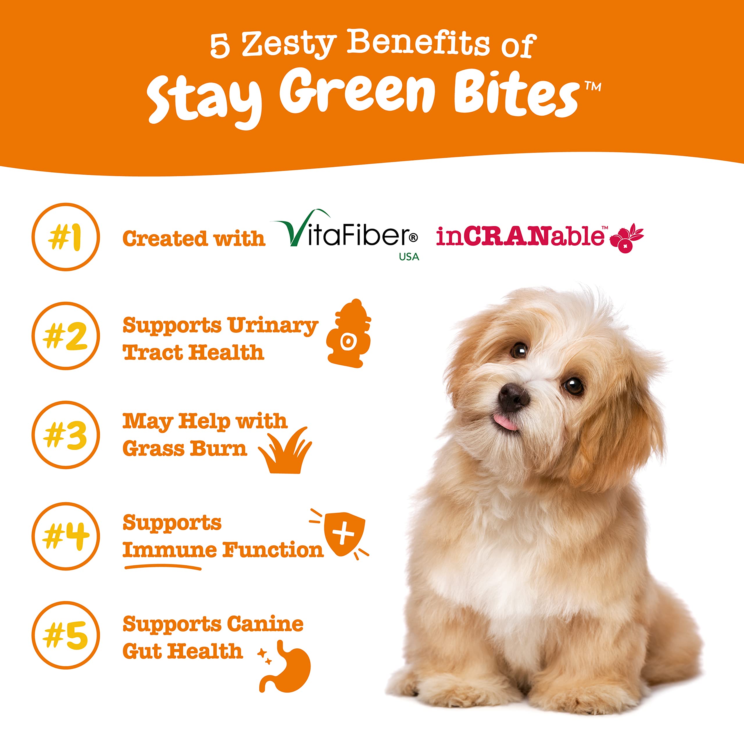 Zesty Paws Stay Green Bites for Dogs - Grass Burn Soft Chews for Lawn Spots Caused by Dog Urine - with Cranberry for Urinary Tra