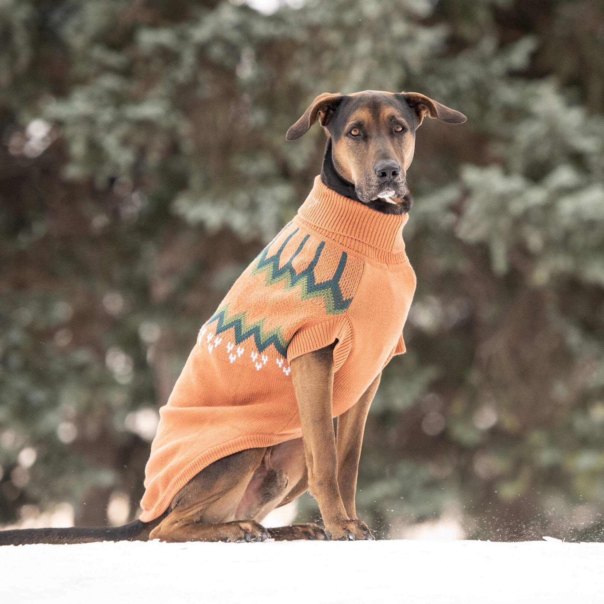 Gf Pet Heritage Sweater Dog Pullover – Classic Ribbed Knit Sweater For Dogs | Soft & Warm Acrylic | Timeless Design | Small, Medium, Large Pets – Hazel, S