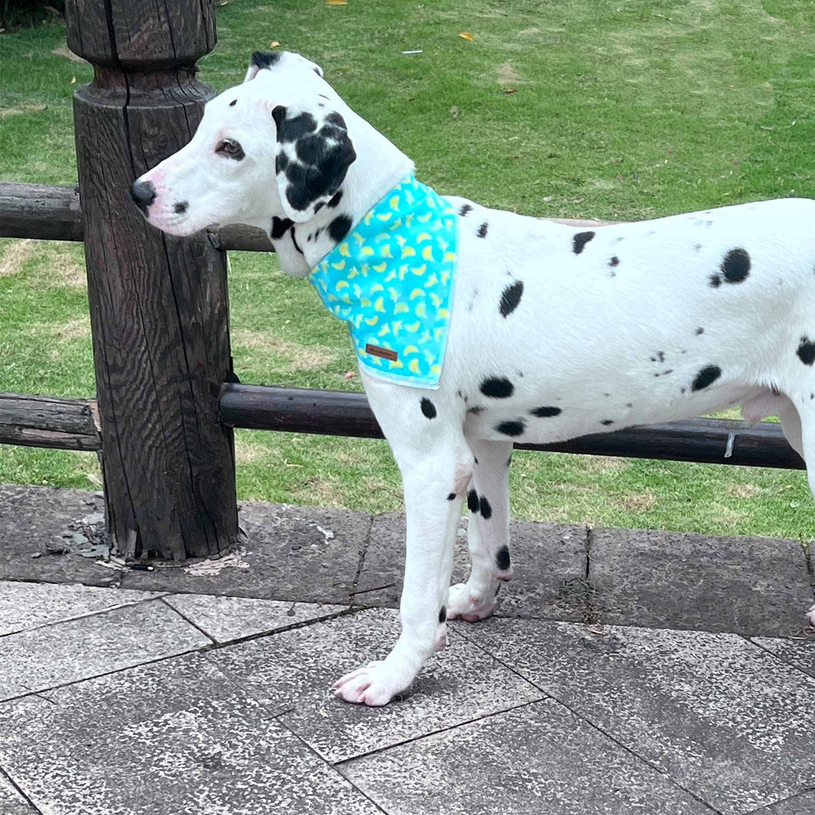 Mr. Chubbyface Bananas Dog Bandanas Reversible Triangle Bibs Scarf Accessories For Dogs Cats Pets