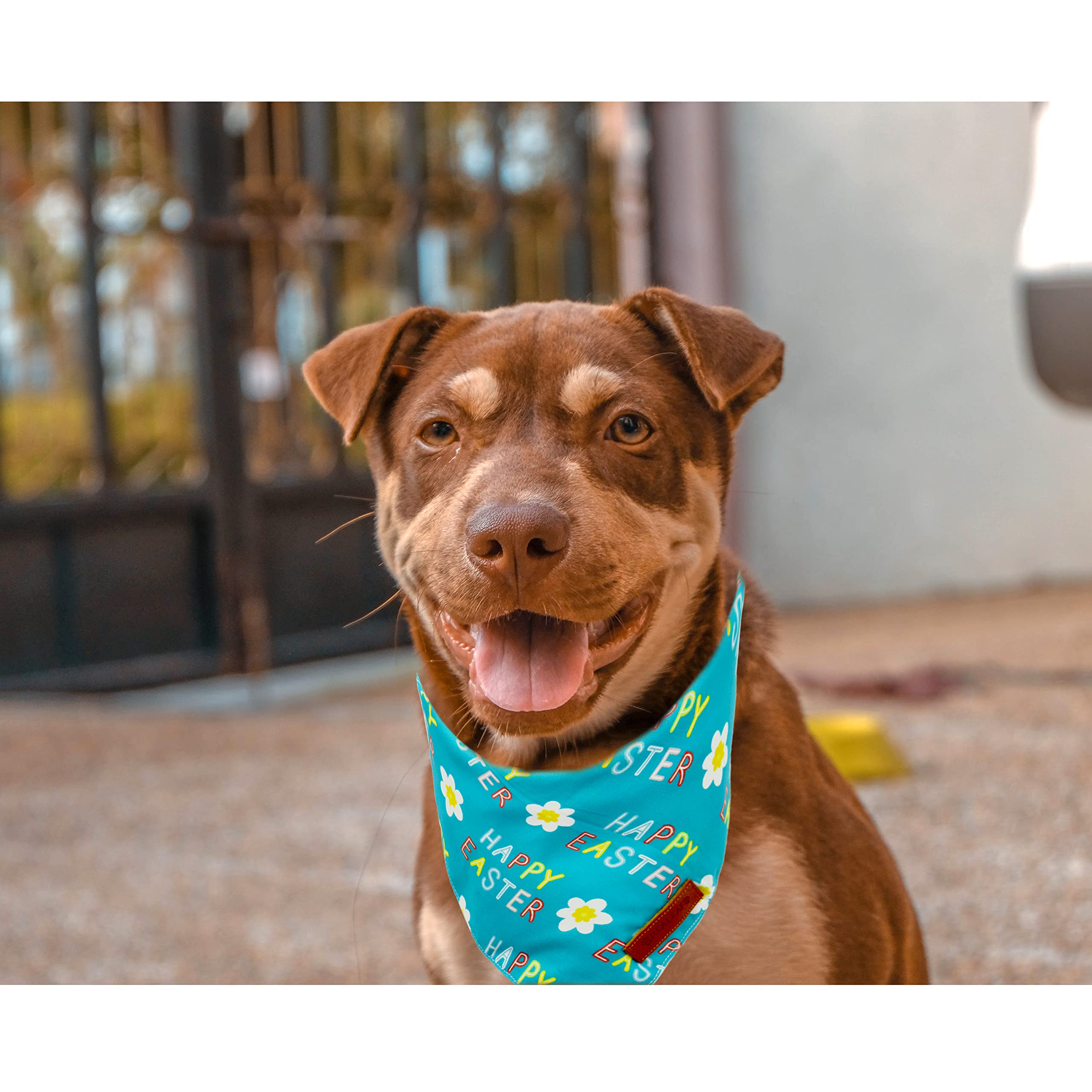 Realeaf Happy Easter Dog Bandanas 2 Pack, Reversible Pet Scarf For Boy And Girl, Premium Durable Fabric, Holiday Bandana For Small Medium Large And Extra Large Dogs (Large)