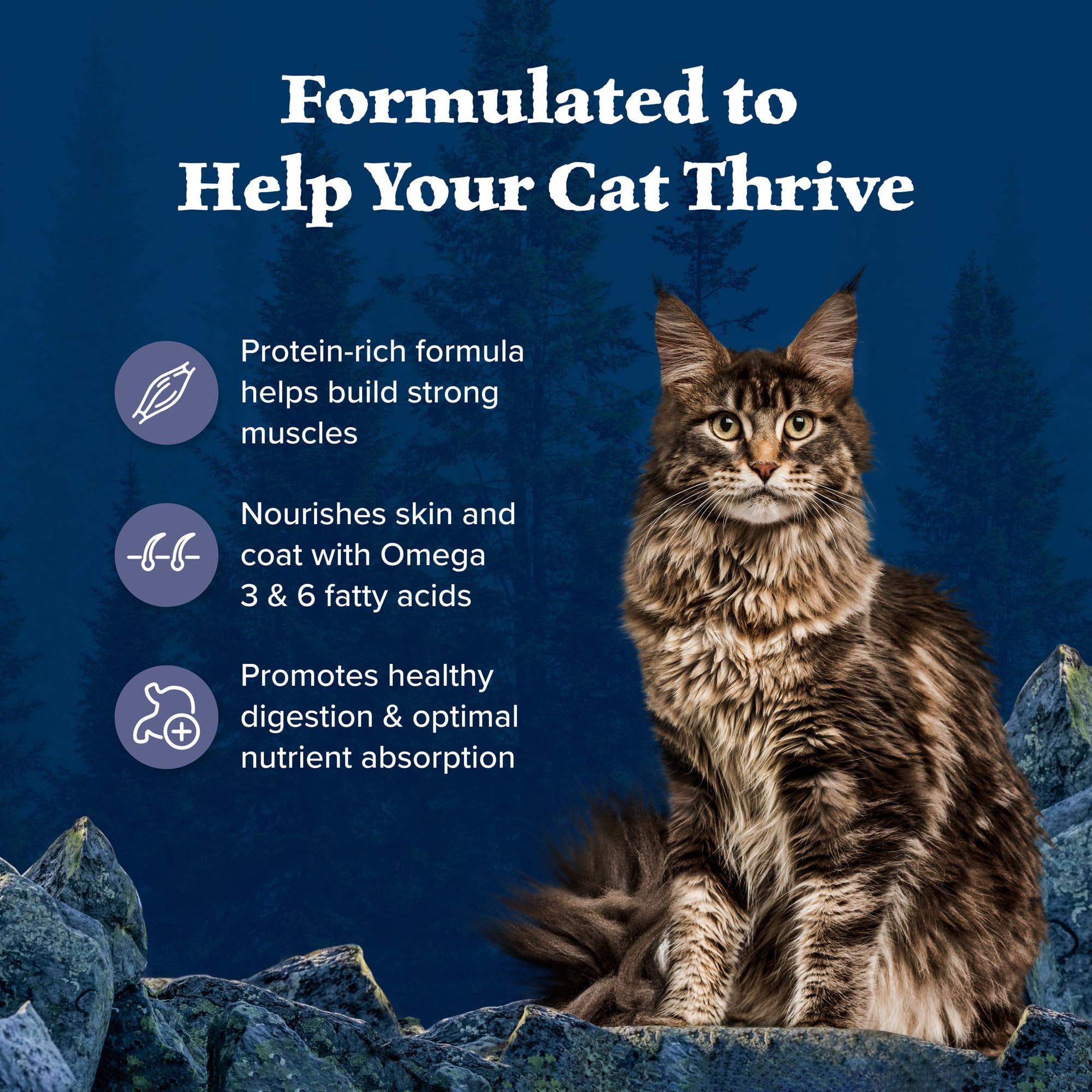 Blue Buffalo Wilderness Natures Evolutionary Diet High-Protein, Grain-Free Natural Dry Food for Adult Cats, Chicken, 9.5-lb Bag